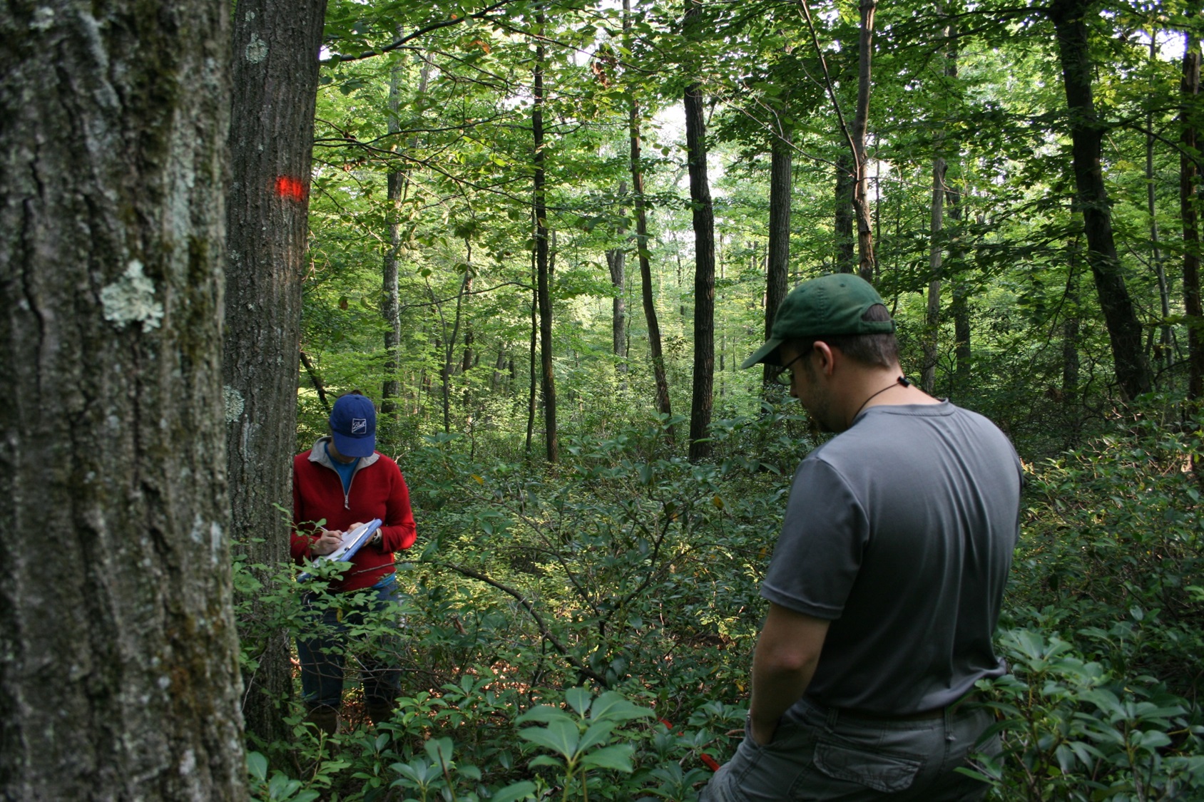 researchers in forest