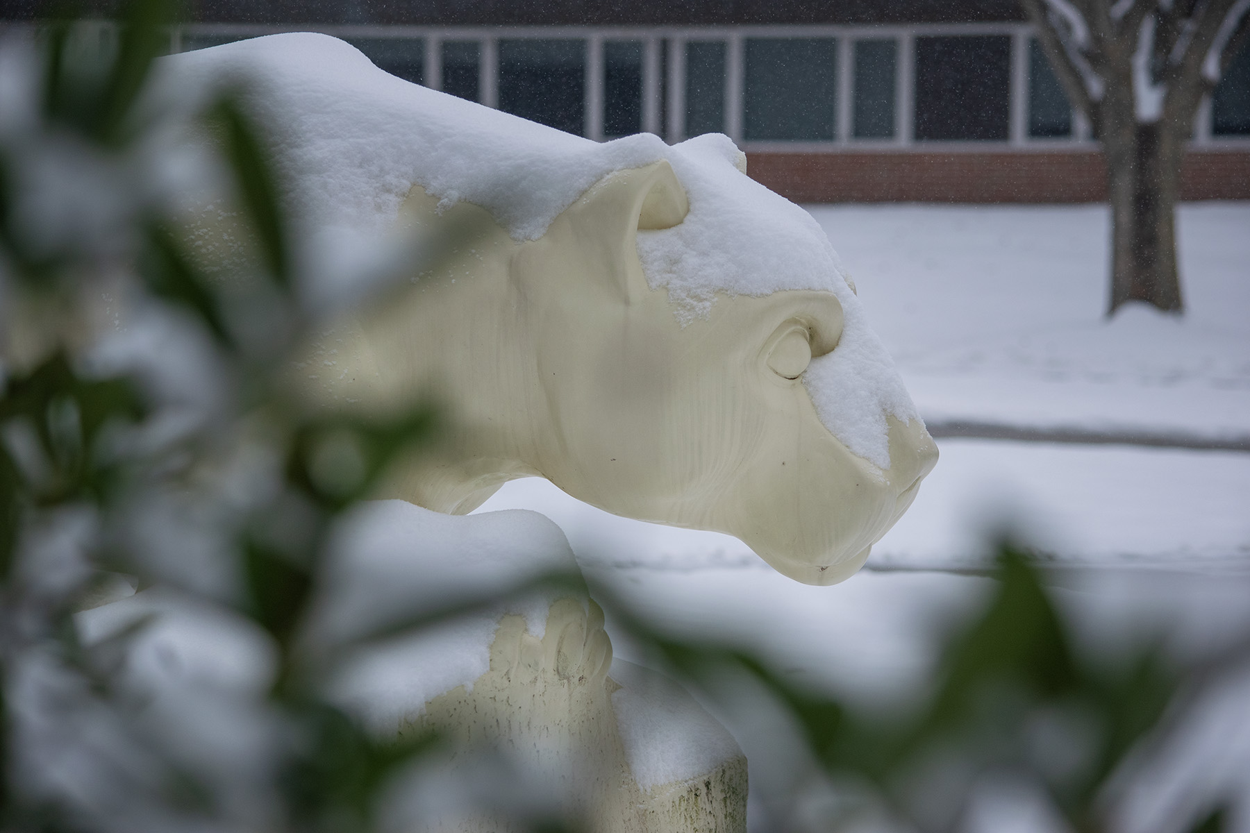 Lion statue covered in snow