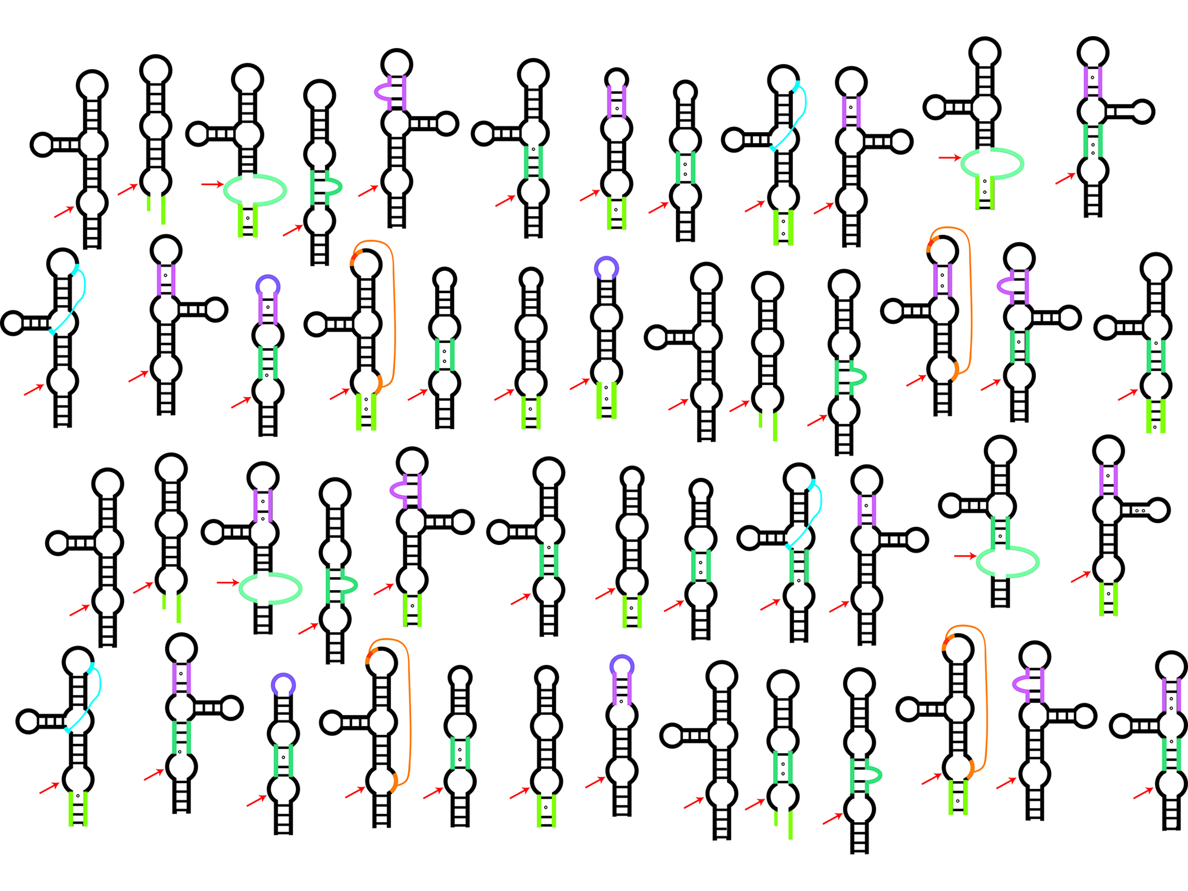 2-dimensional models of twister ribozymes with structural imperfections.