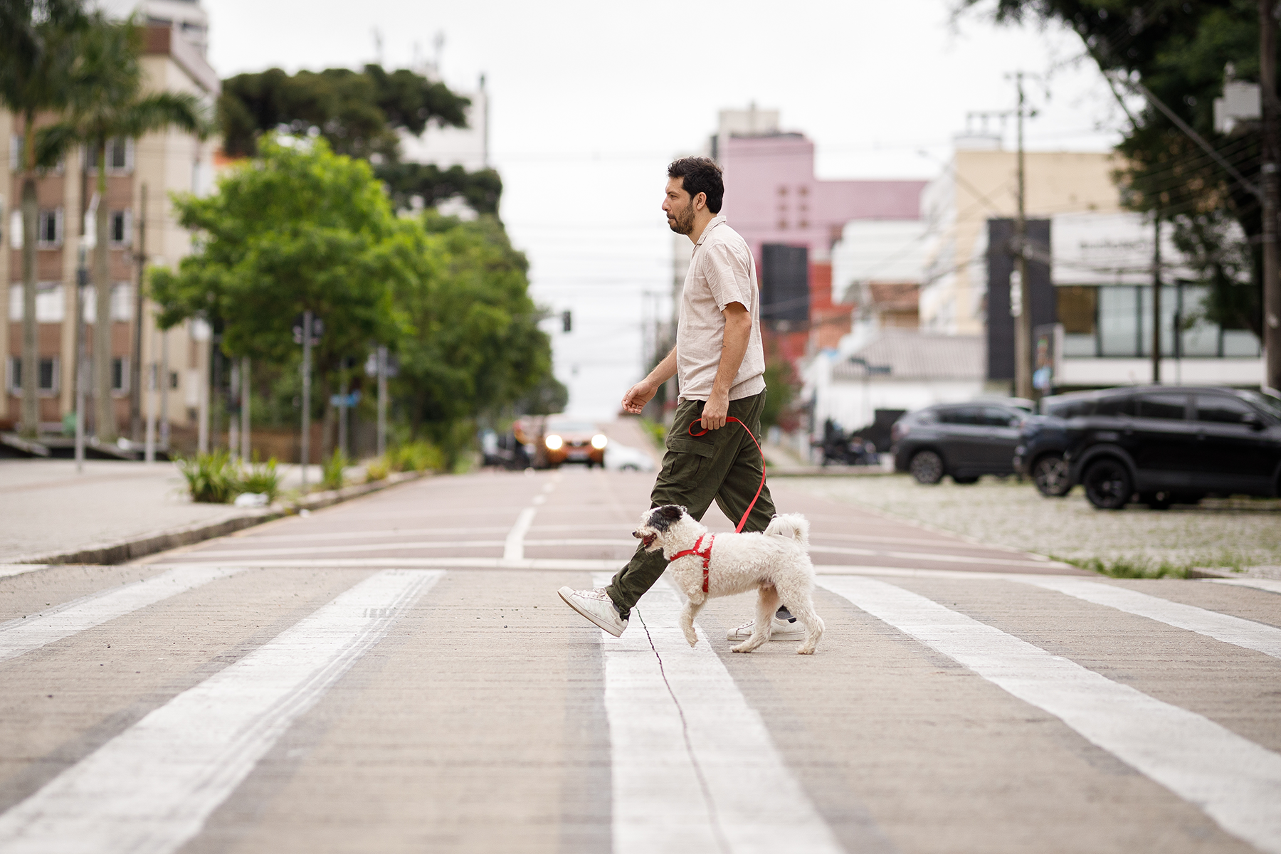 日常的な身体活動は中年期の認知健康を改善できるか?(Can everyday physical activity improve cognitive health in middle age?)