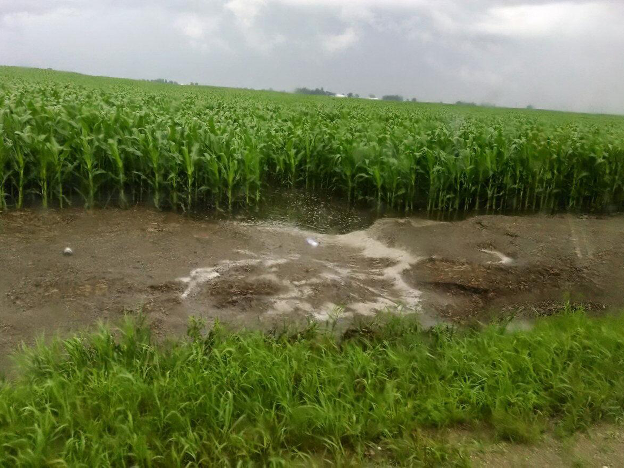 American soil losing more crop nutrients due to heavier rainstorms ...