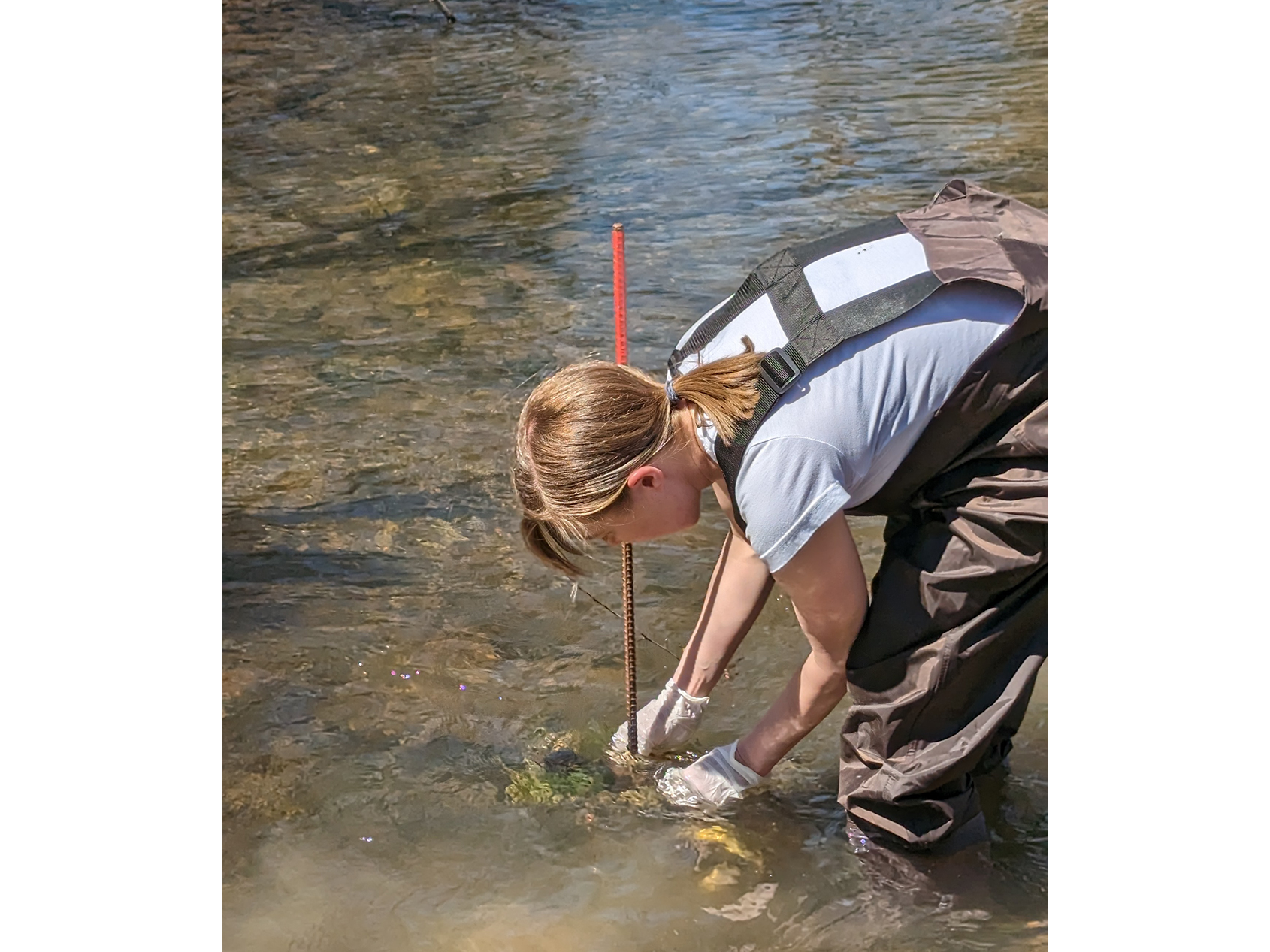 researcher in water