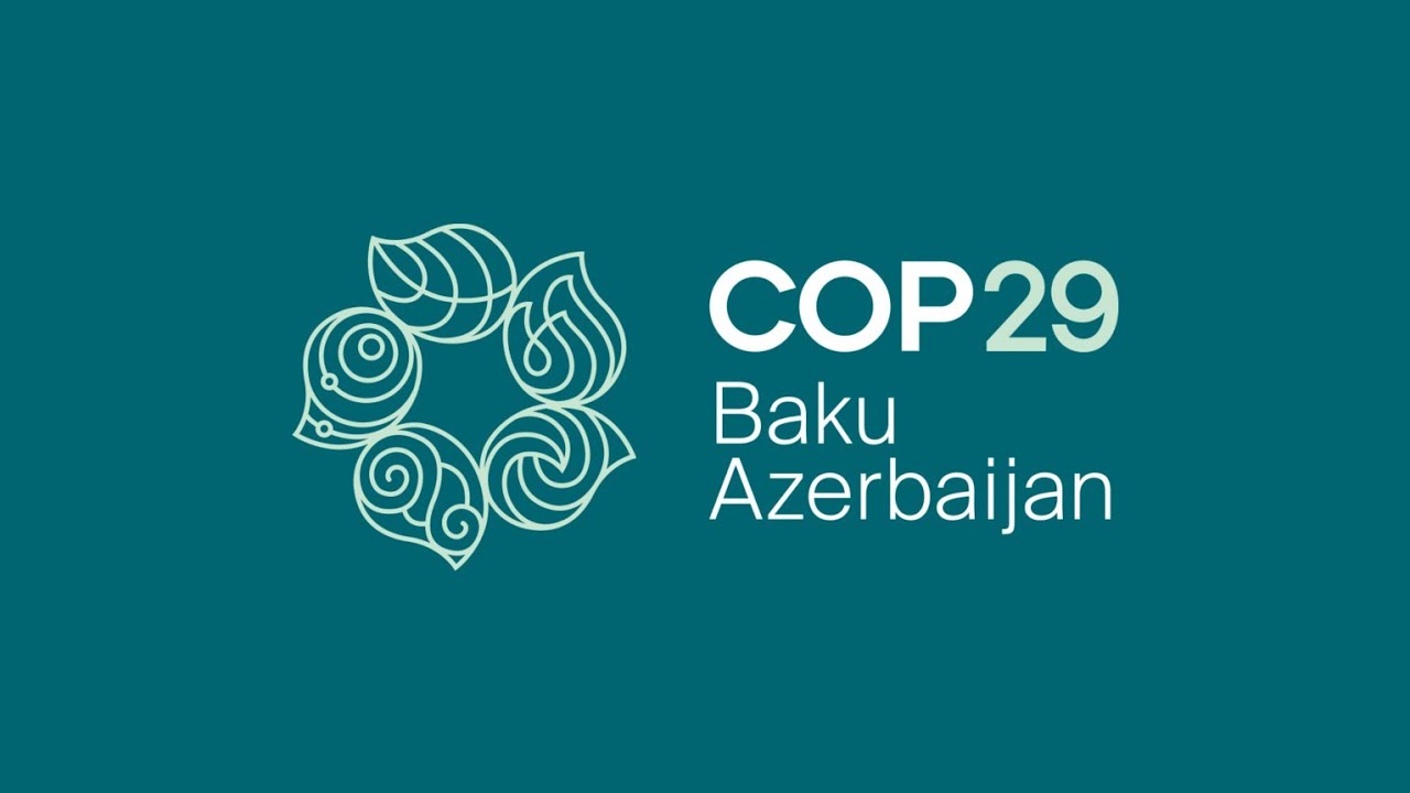 COP29 logo