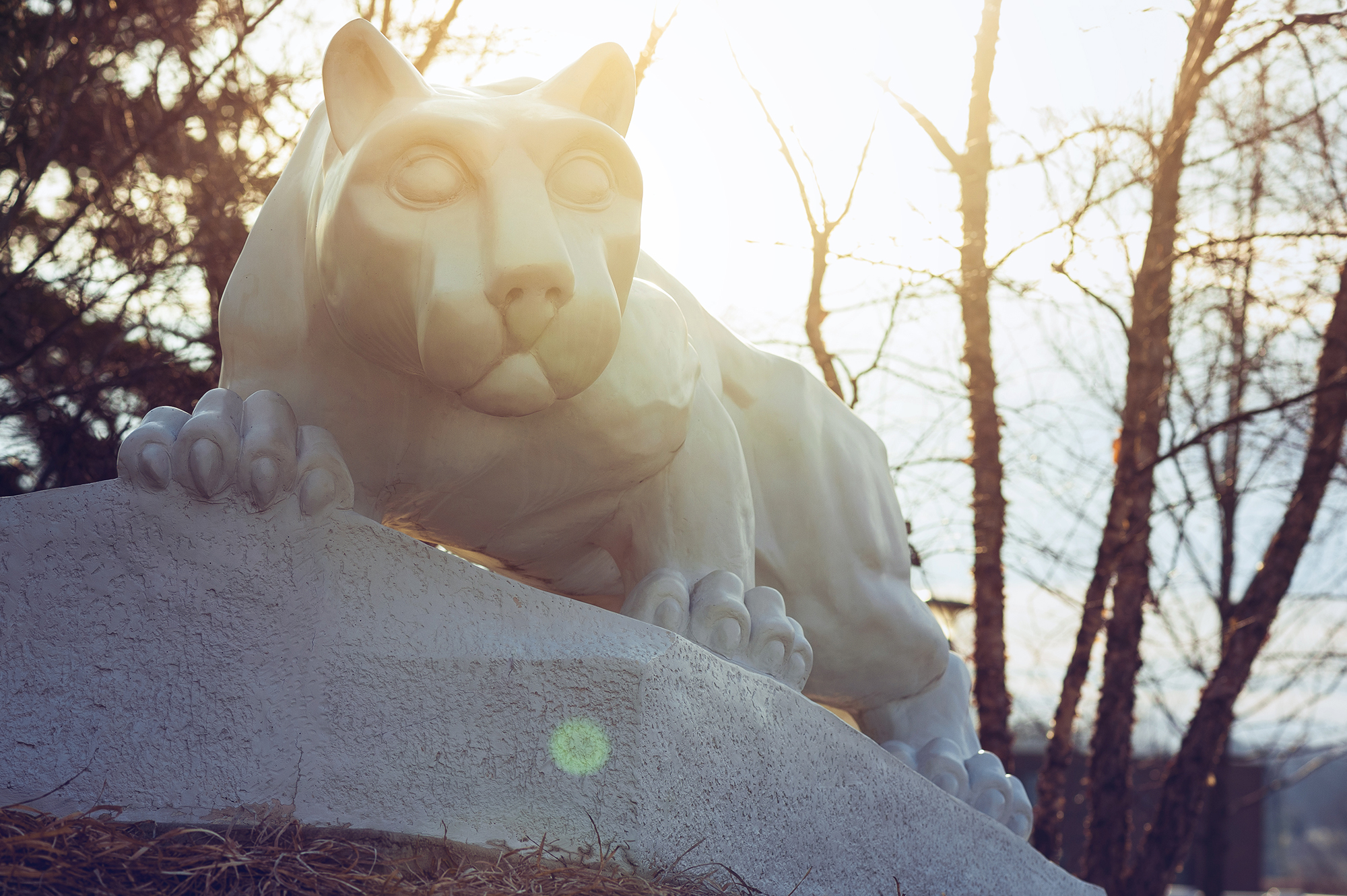 A photo of the lion shrine in late fall with sunlight behind it