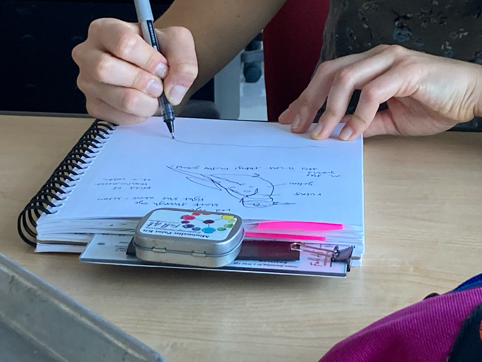 A person journaling in a notebook