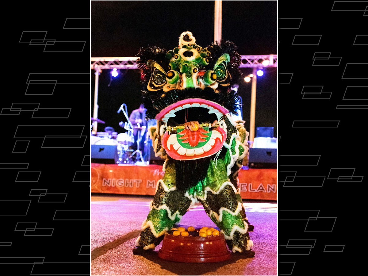 Gong Lung (Steel Dragon) Kung Fu and Lion and Dragon Dance players in costume