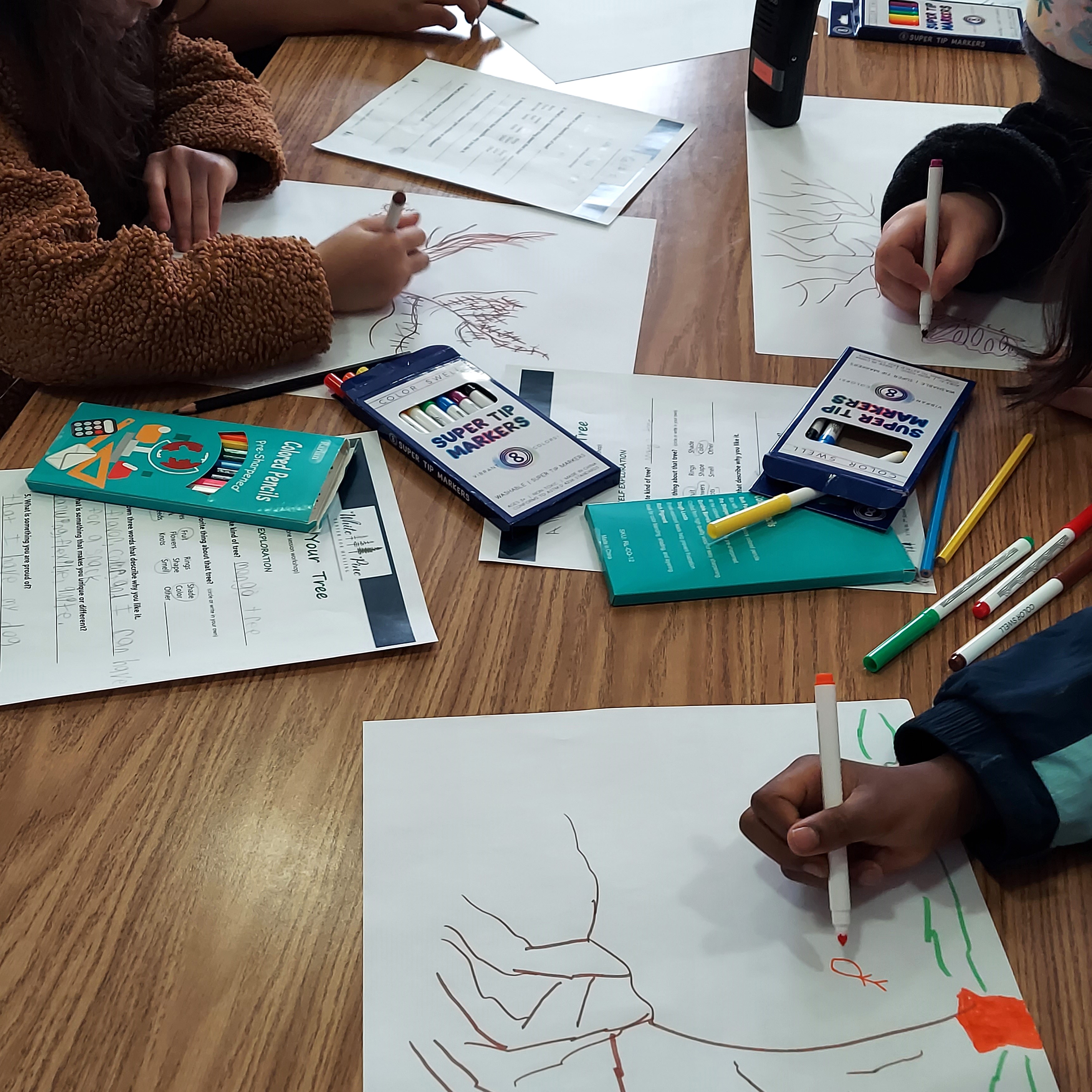 Students draw trees at a table in school