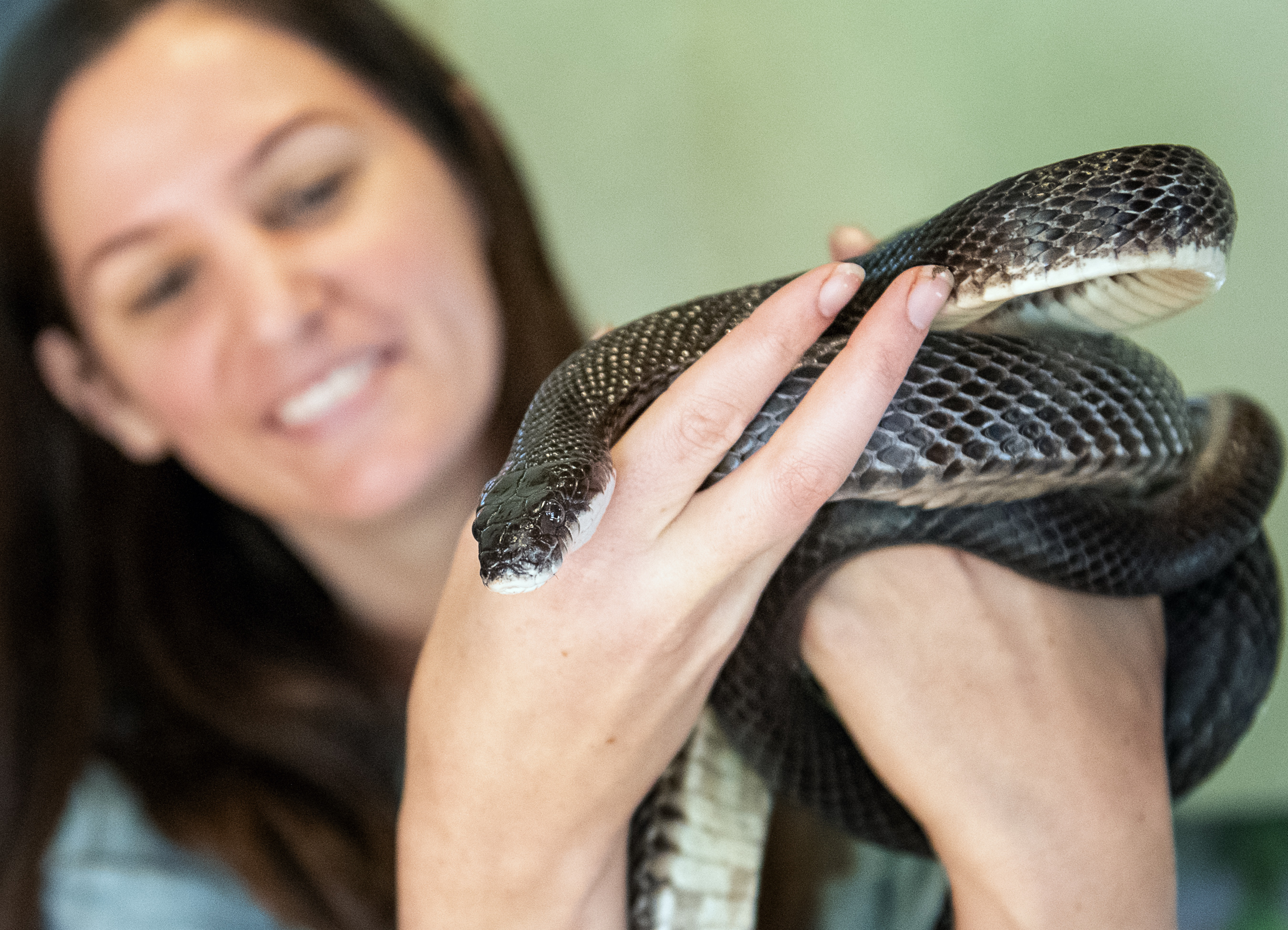 Paige Sutherland with Rat Snake