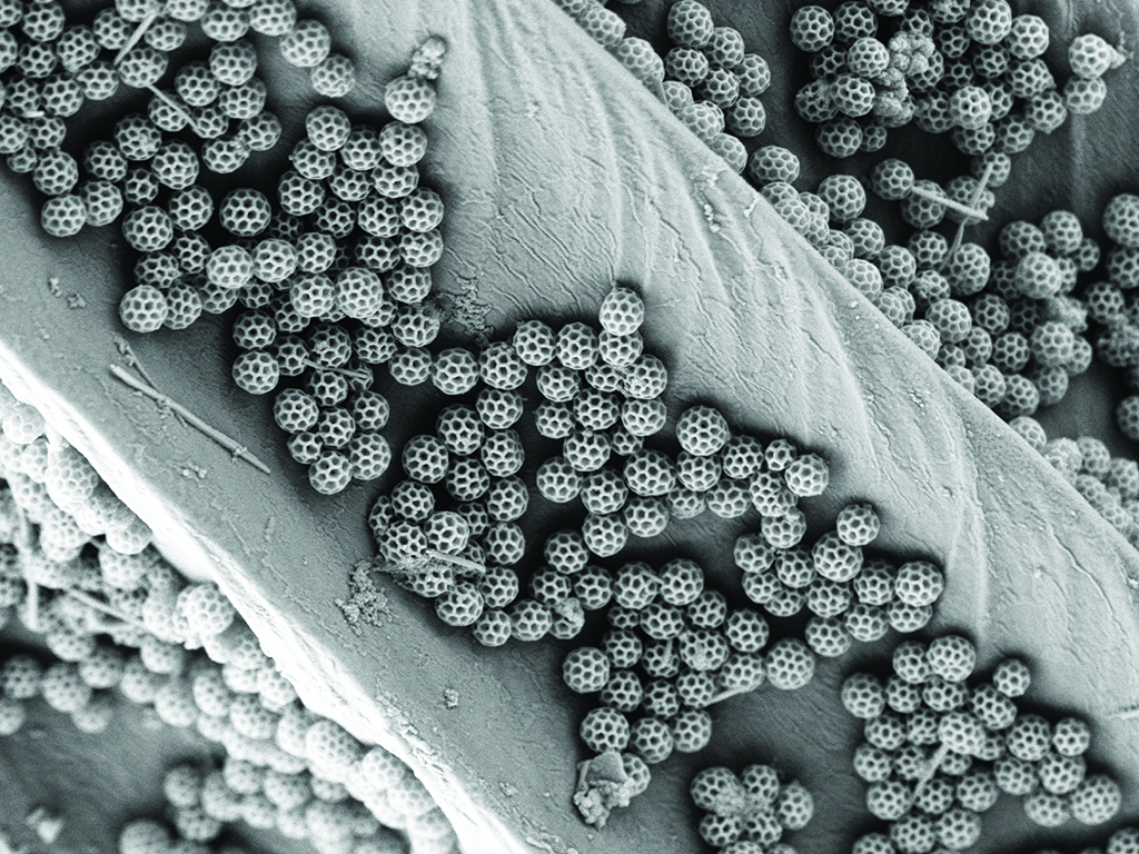 The 17th annual Materials Visualization Competition "Best of Show" award went to “Nano soccer balls from nature” by Jinsol Choi, postdoctoral scholar, Department of Mechanical Engineering.