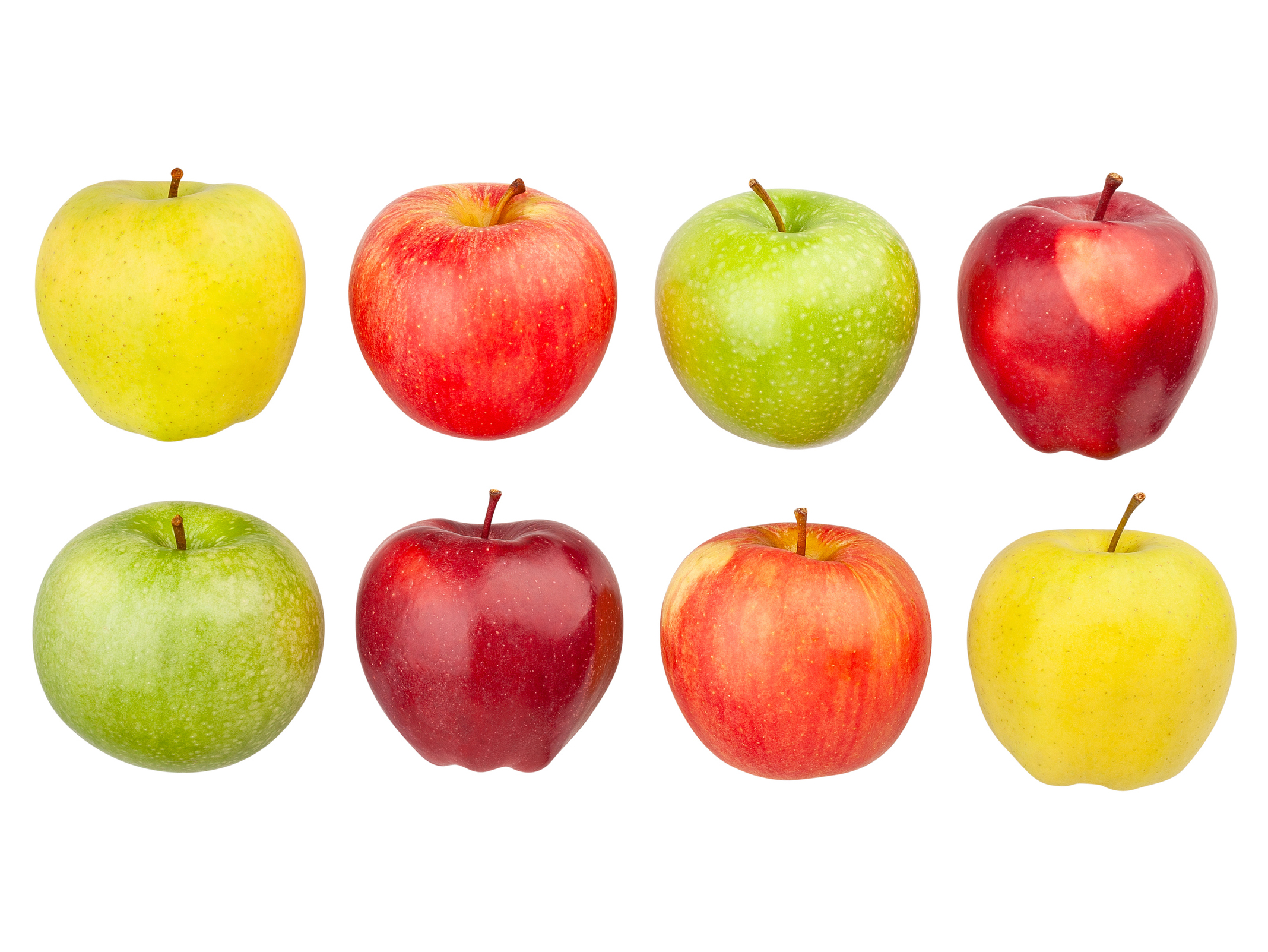 Two rows of different apples