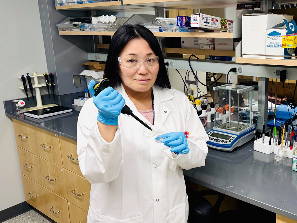 Urara Hasegawa, assistant professor at Penn State, in her lab 
