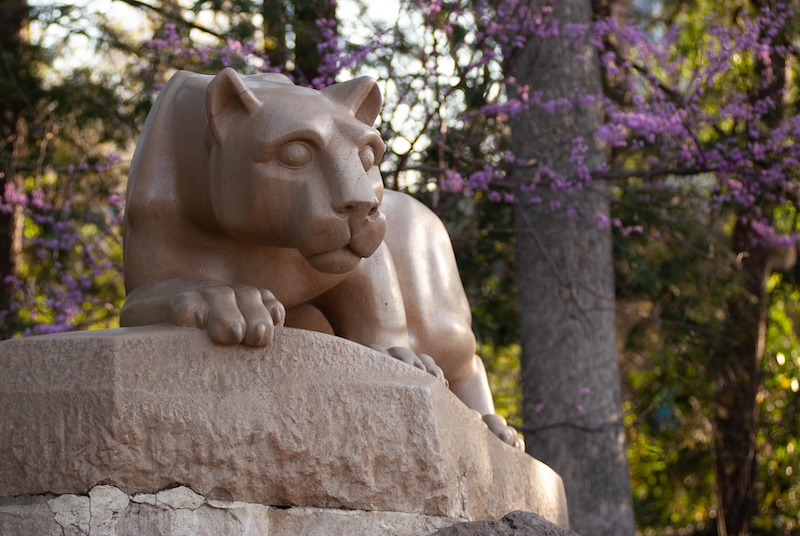 Lion Shrine in front of a blooming tree with purple flowers 