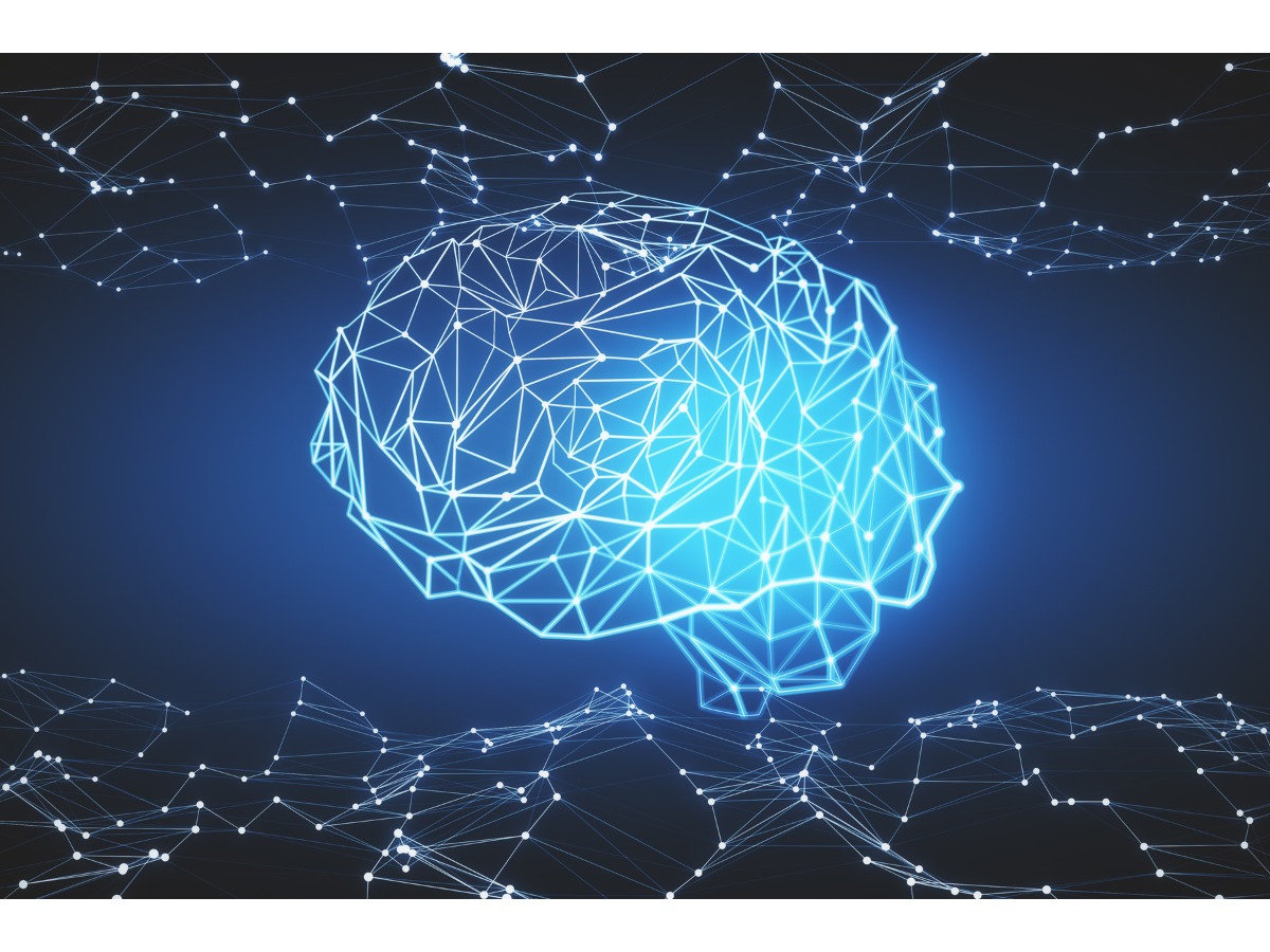 A digital image of a brain is shown in varied colors of blue.