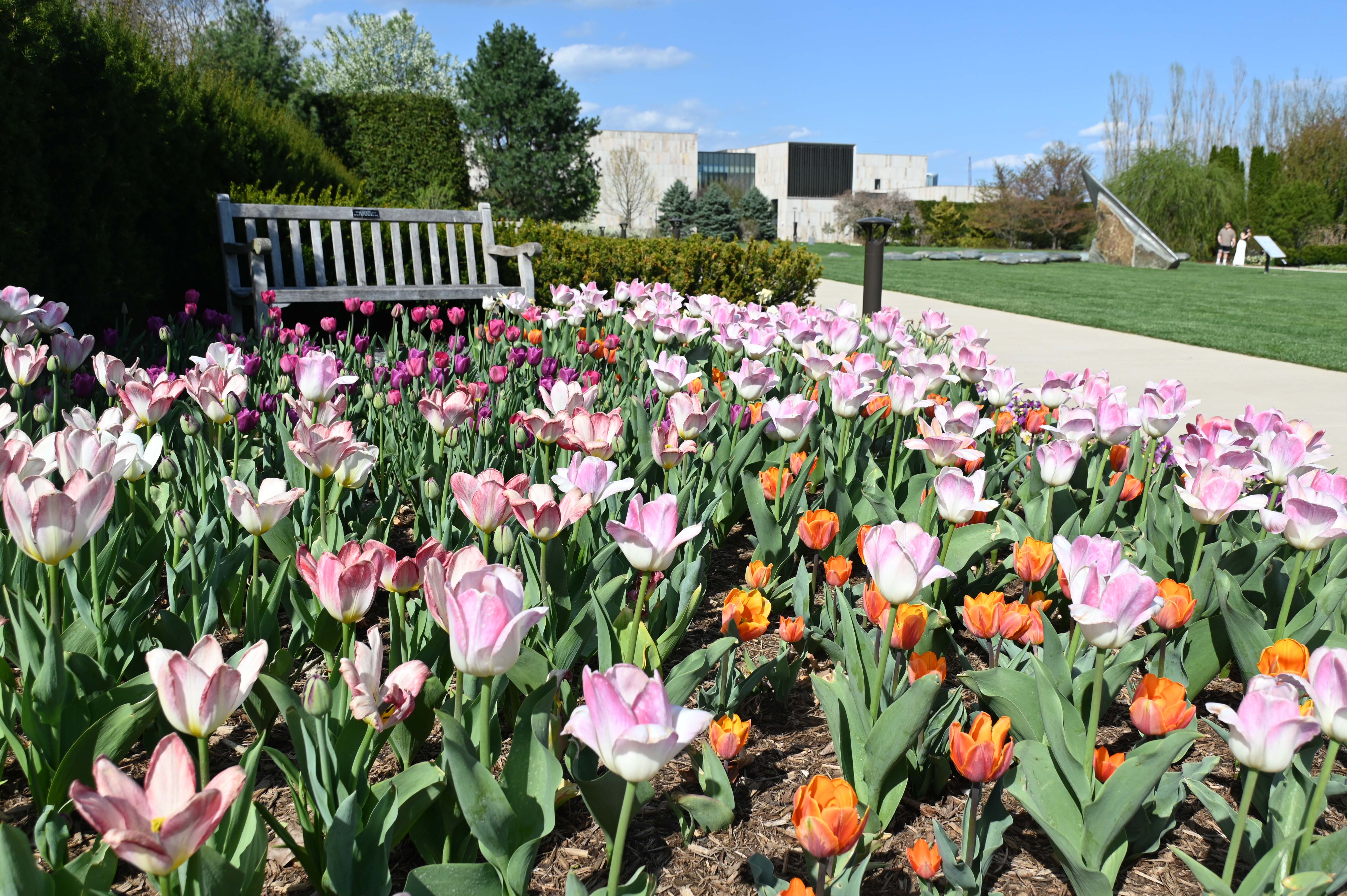 Closeup of springtime flowers