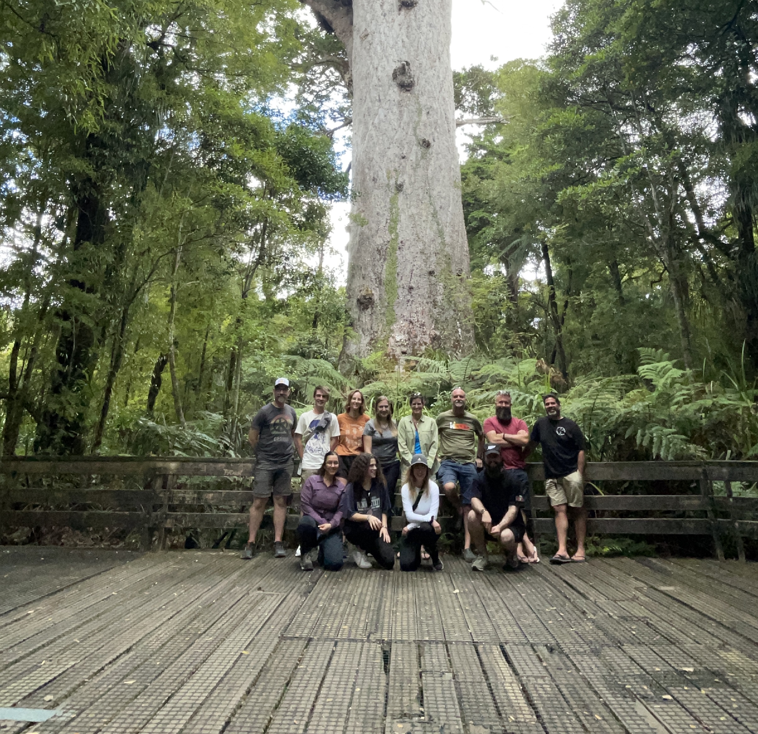A group of people in front of a large tree