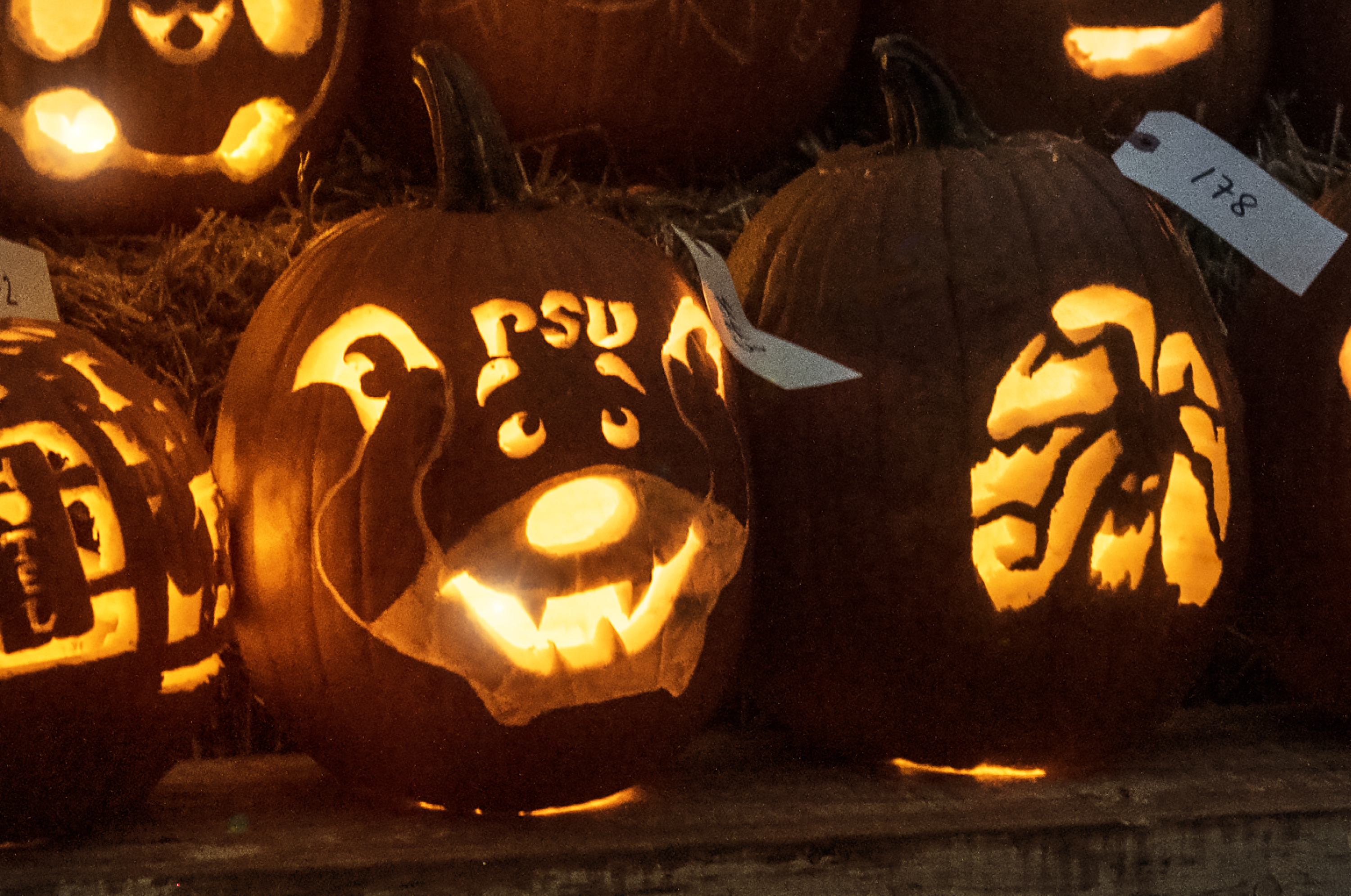 Jack O Lanterns at Arboretum