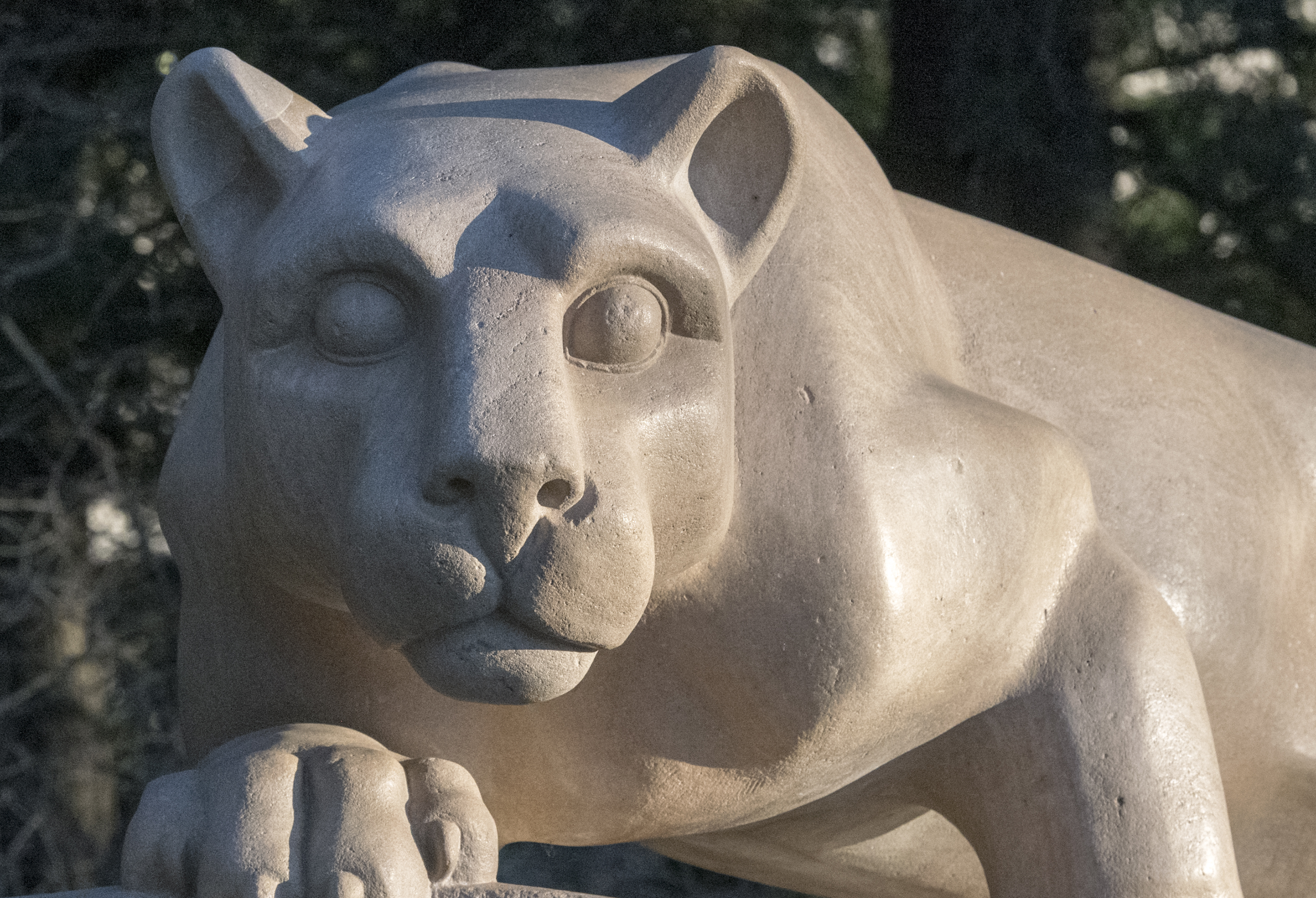 Lion Shrine head on