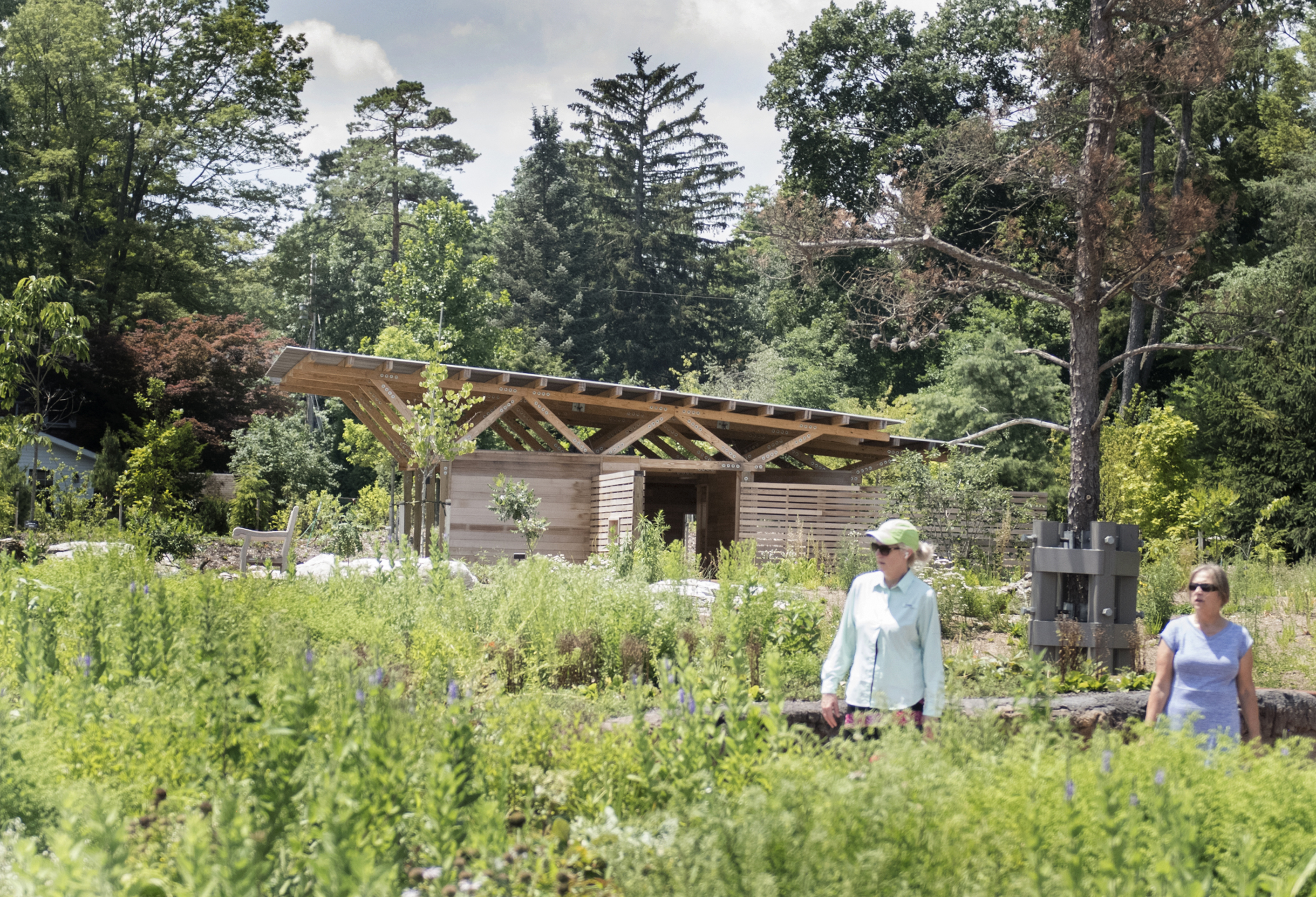 Bird House at Arboretum