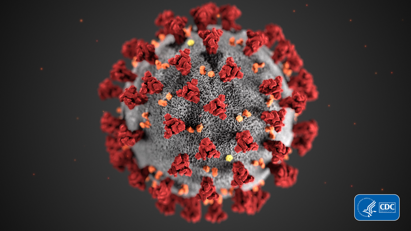 A CDC Illustration of a coronavirus. 