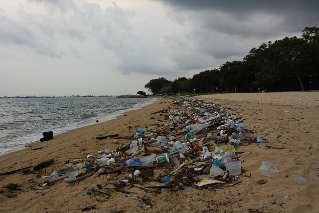 Litter on Singapore's East Coast Park