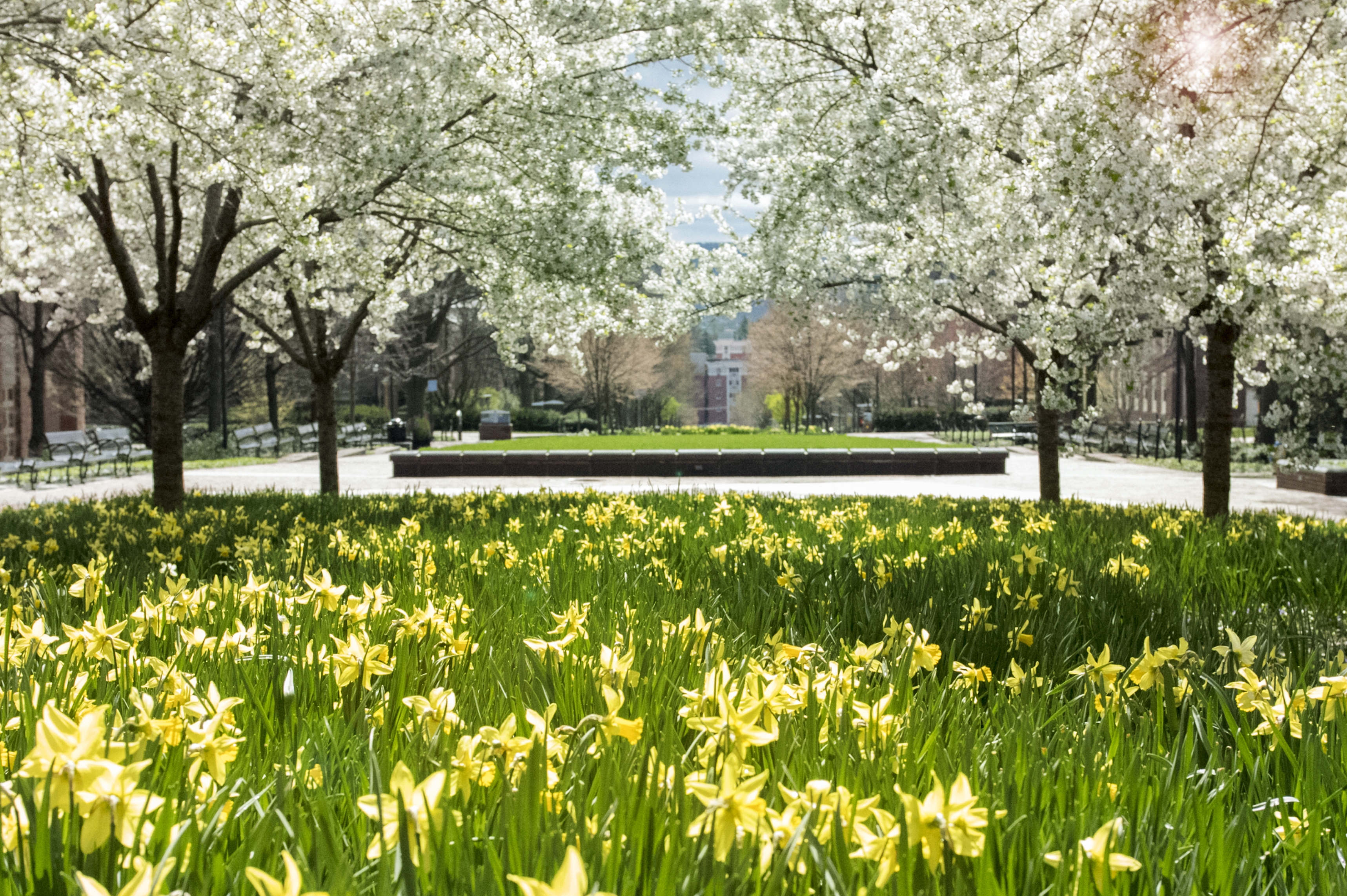 Life sciences quad