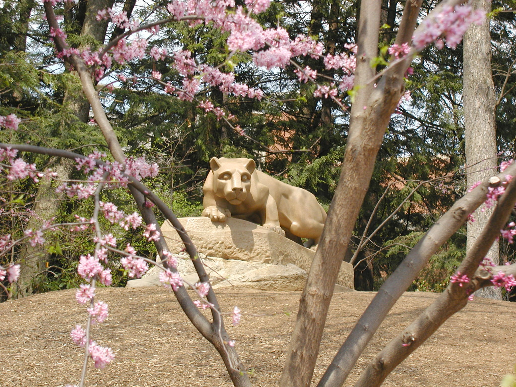 Nittany Lion Shrine 