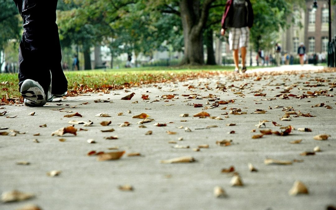 Leaves on the sidewalk on the Penn State mall