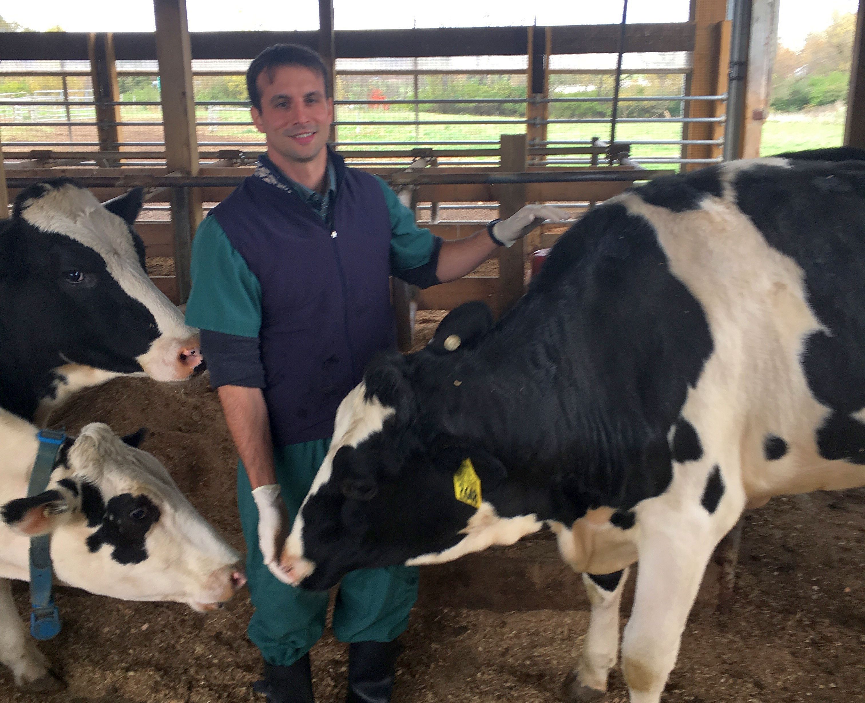 Adrian Barragan with cows