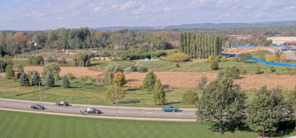 cars driving on Park Ave with the Arboretum in the background