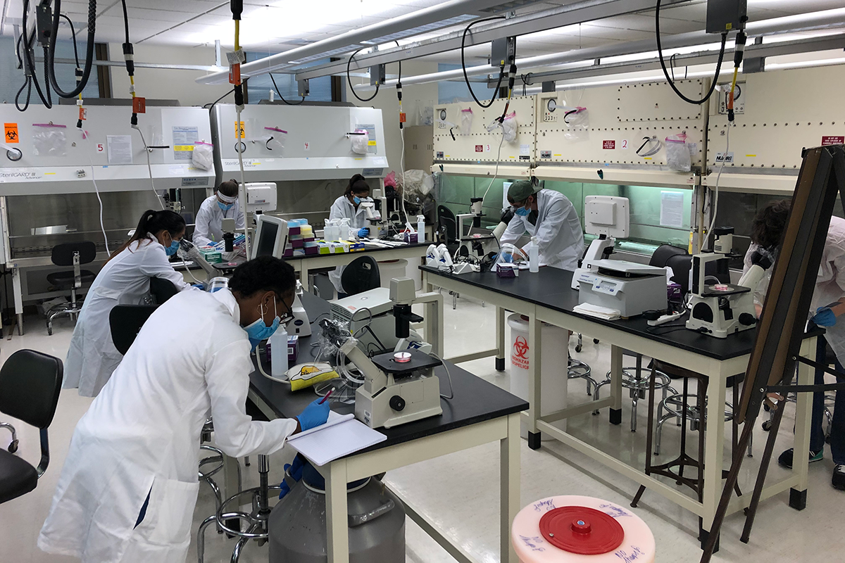 Students in BMB 490 write down their observations of cells while in the tissue culture room
