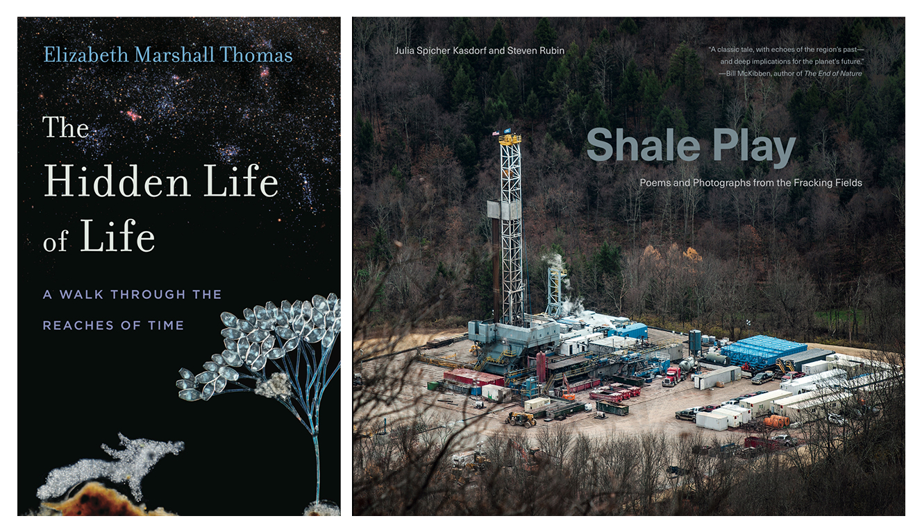 Penn State University Press book covers for Hidden Life and Shale Play