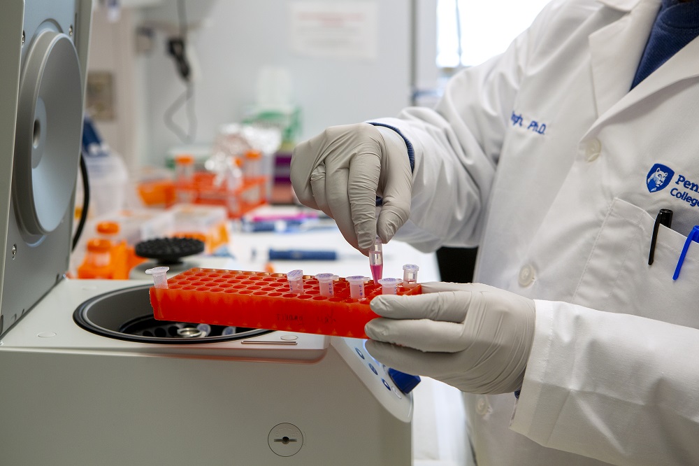 A worker in a lab coat works with small tubes in a lab.