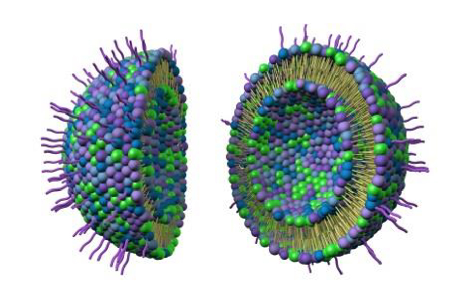 ceramide nanoliposome