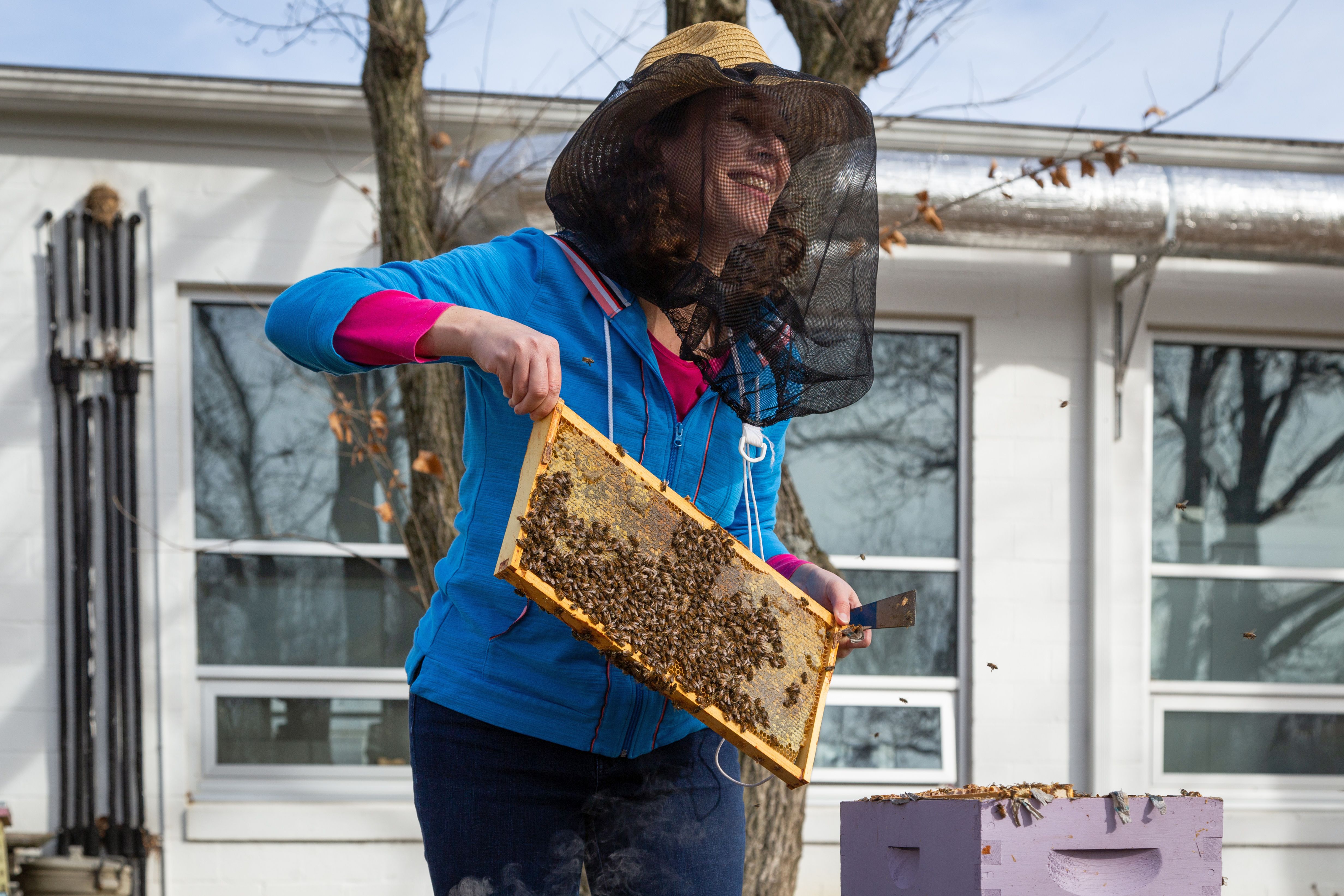 Christina Grozinger with bees