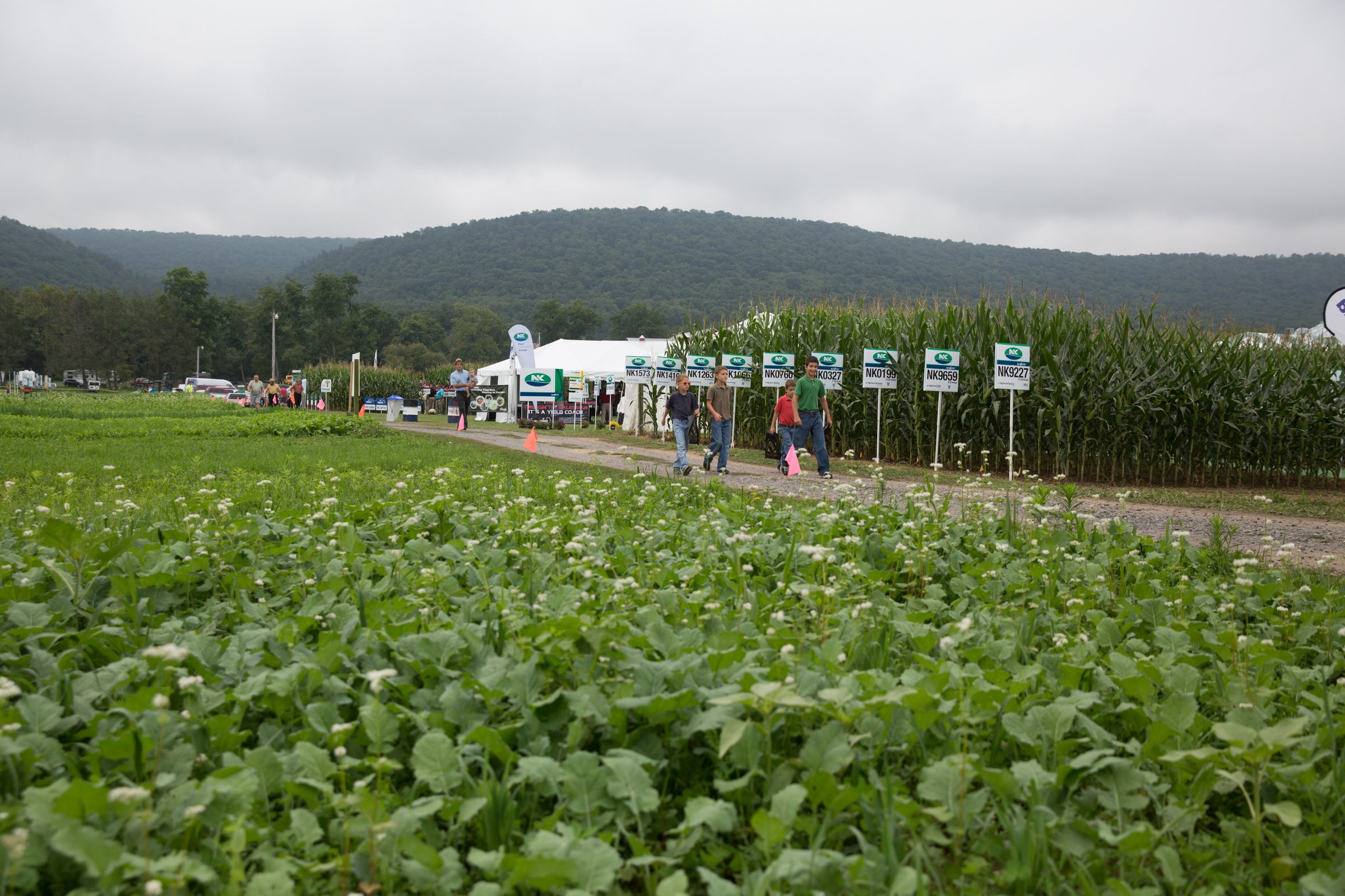 Crop exhibits Ag Progress Days