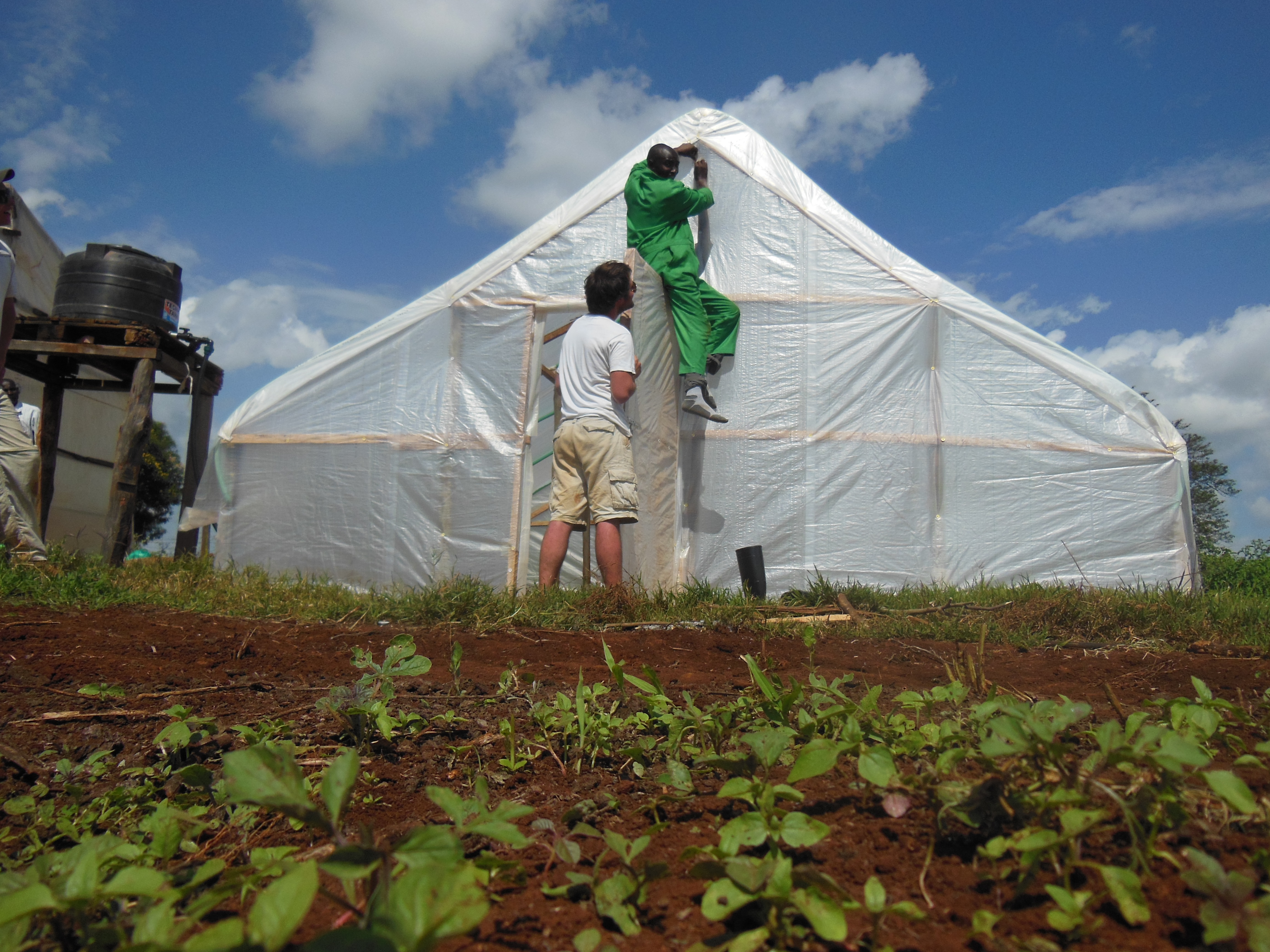 Man builds plastic greenhouse