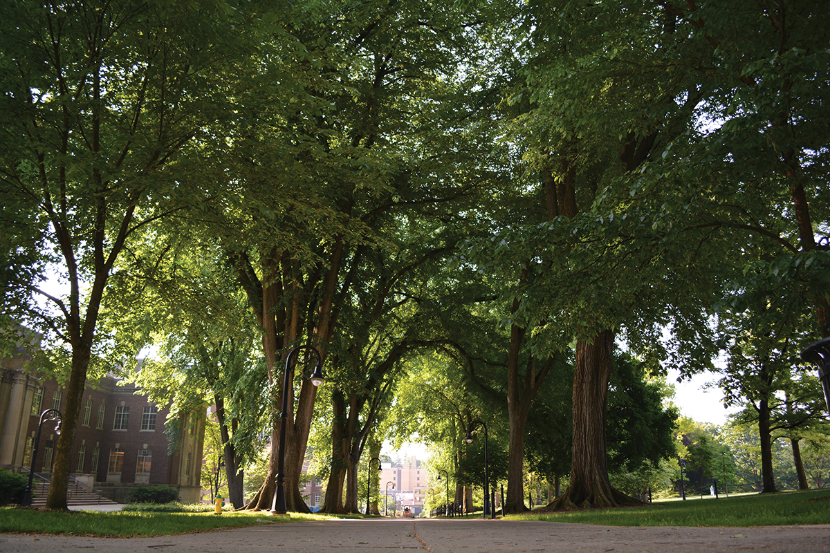 The elms at University Park