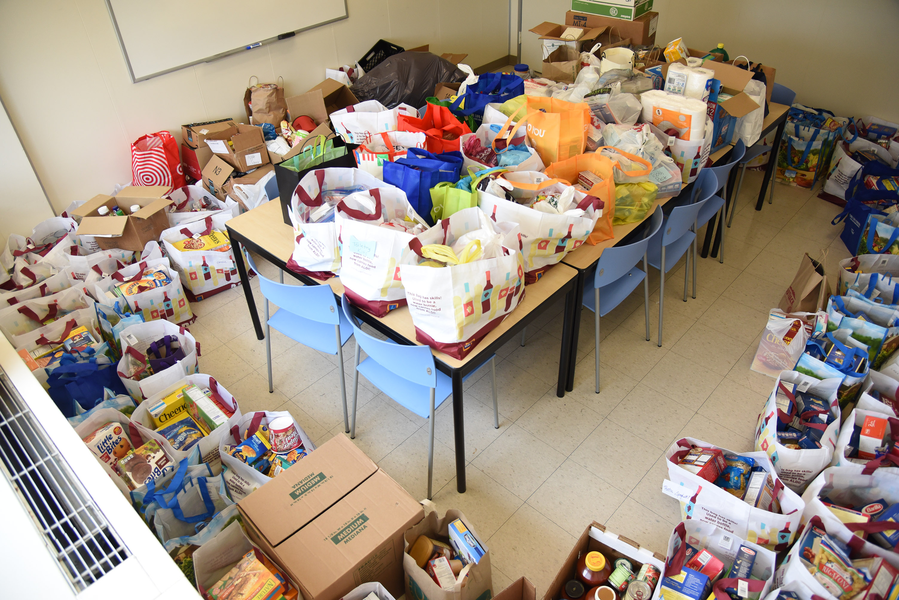 Lion's Pantry Donations