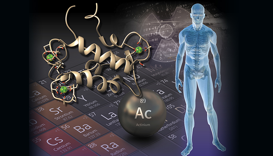 illustration of periodic table, actinium, protein, and human body