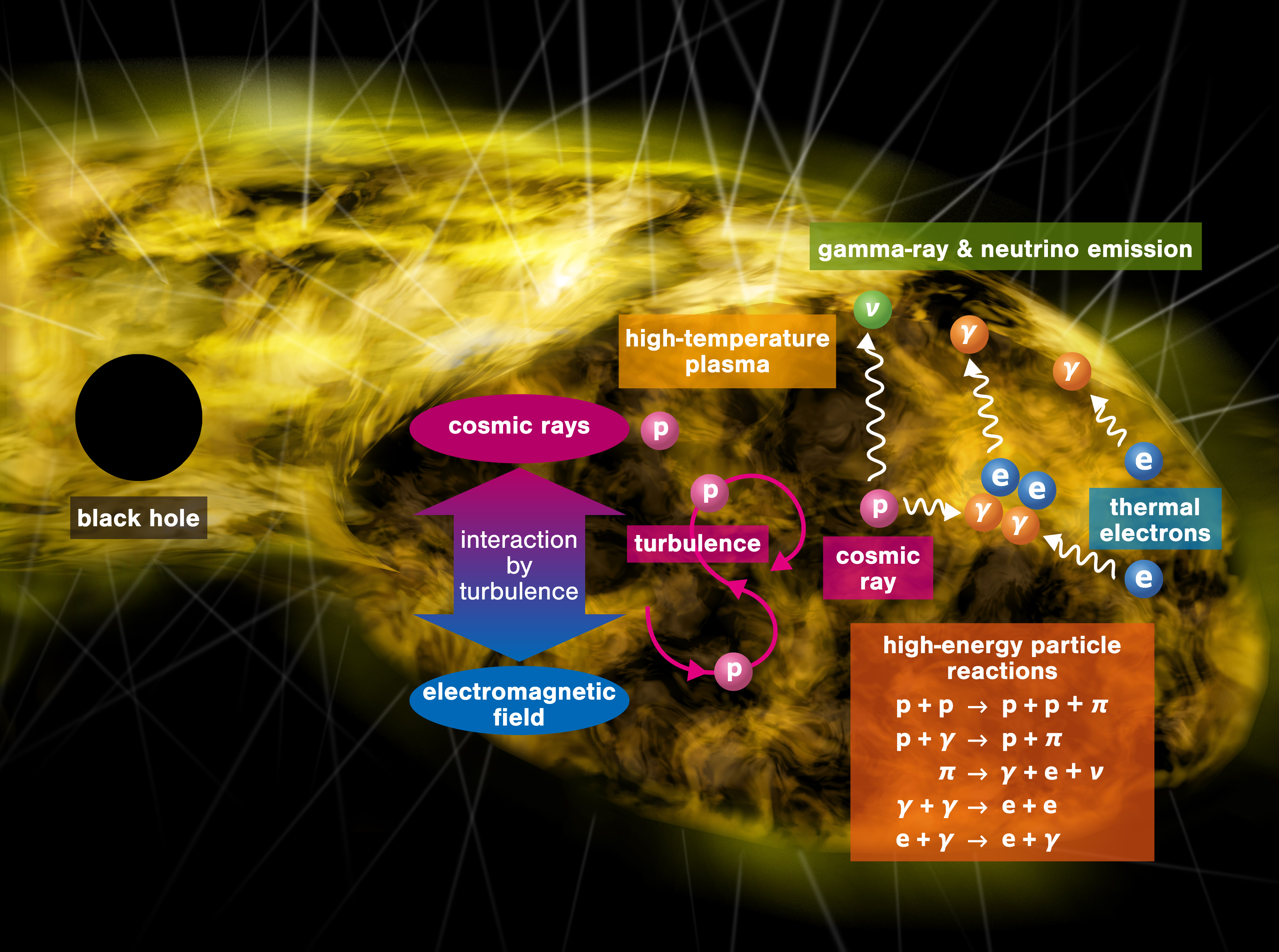 A schematic picture of hot accretion flows around a supermassive black hole.