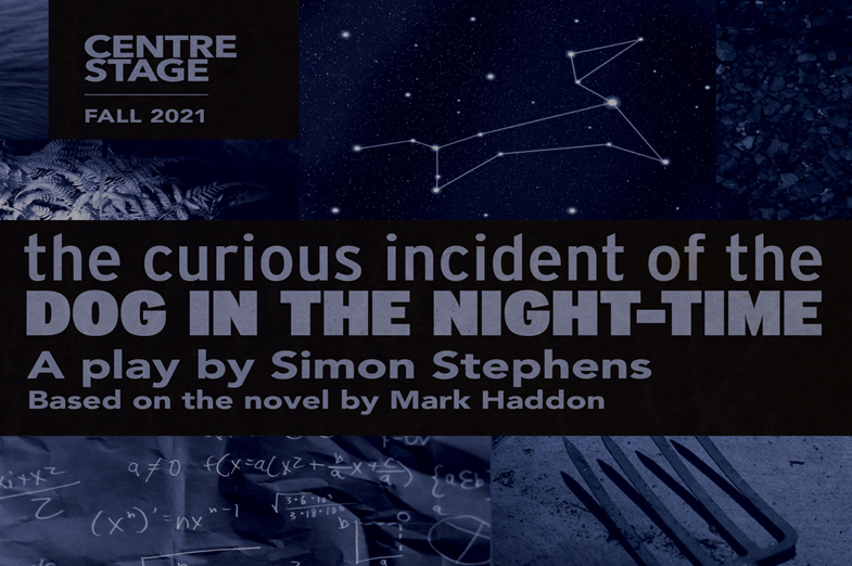 The Curious Incident of the Dog in the Night-Time