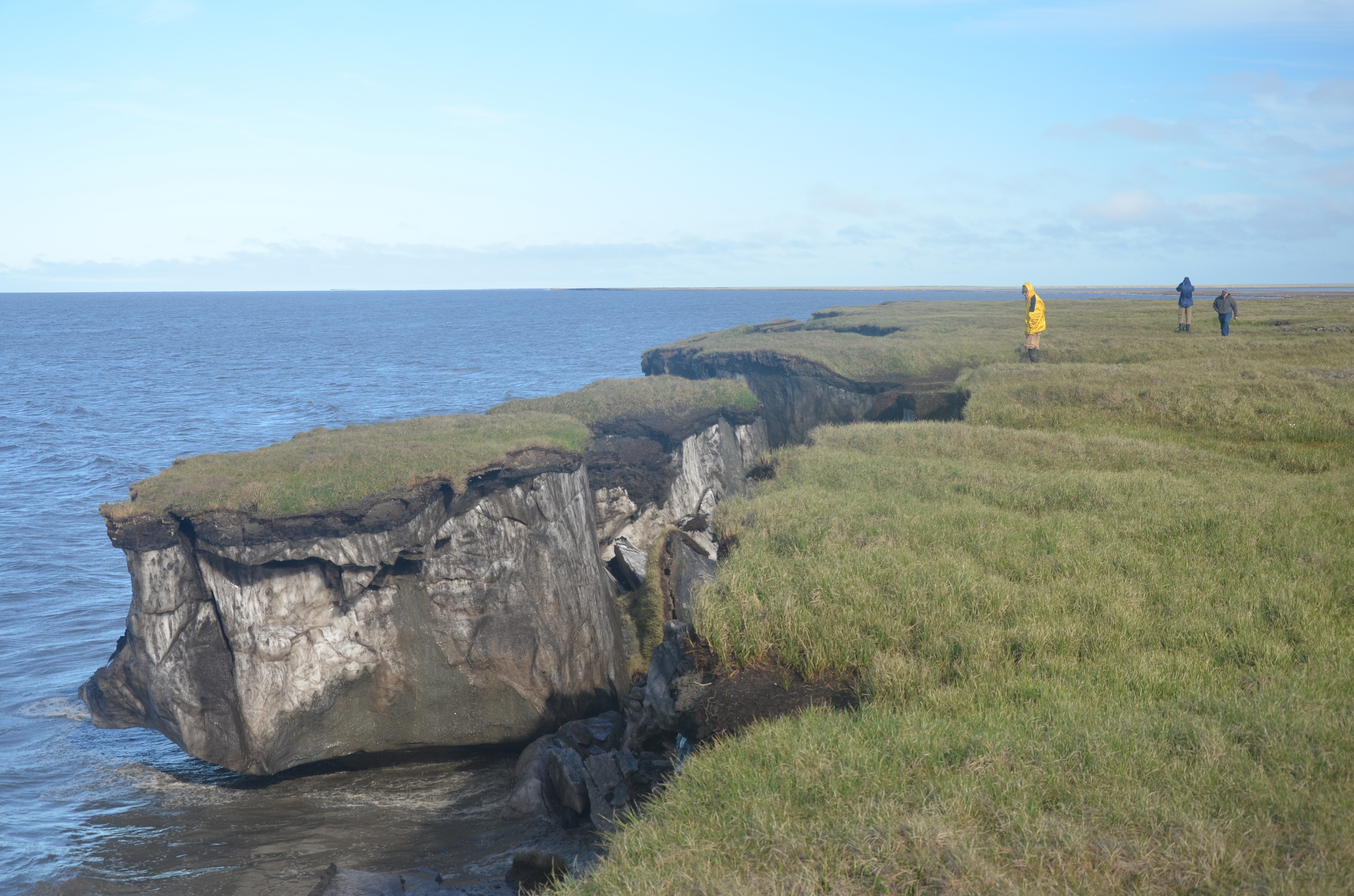 A large chunk of grassy land splits away from the coast, falling into the ocean. 