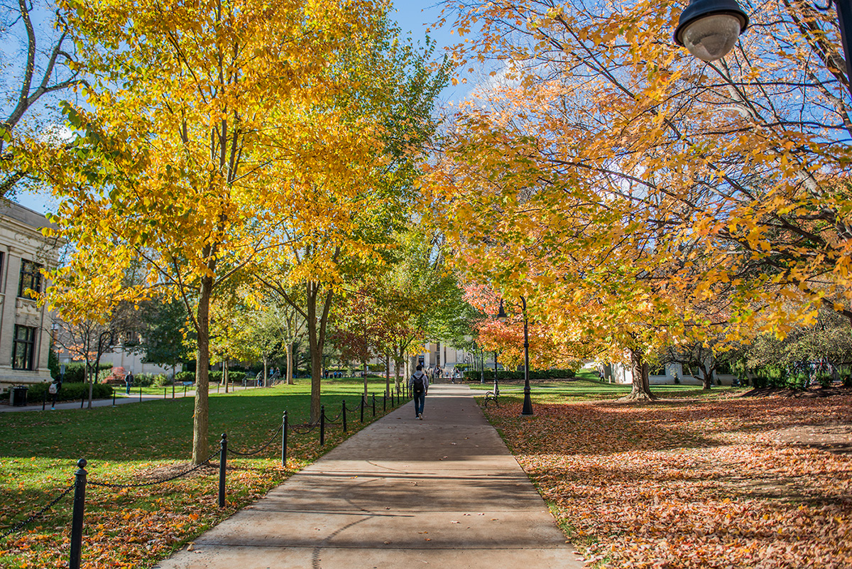 University Park Campus in fall