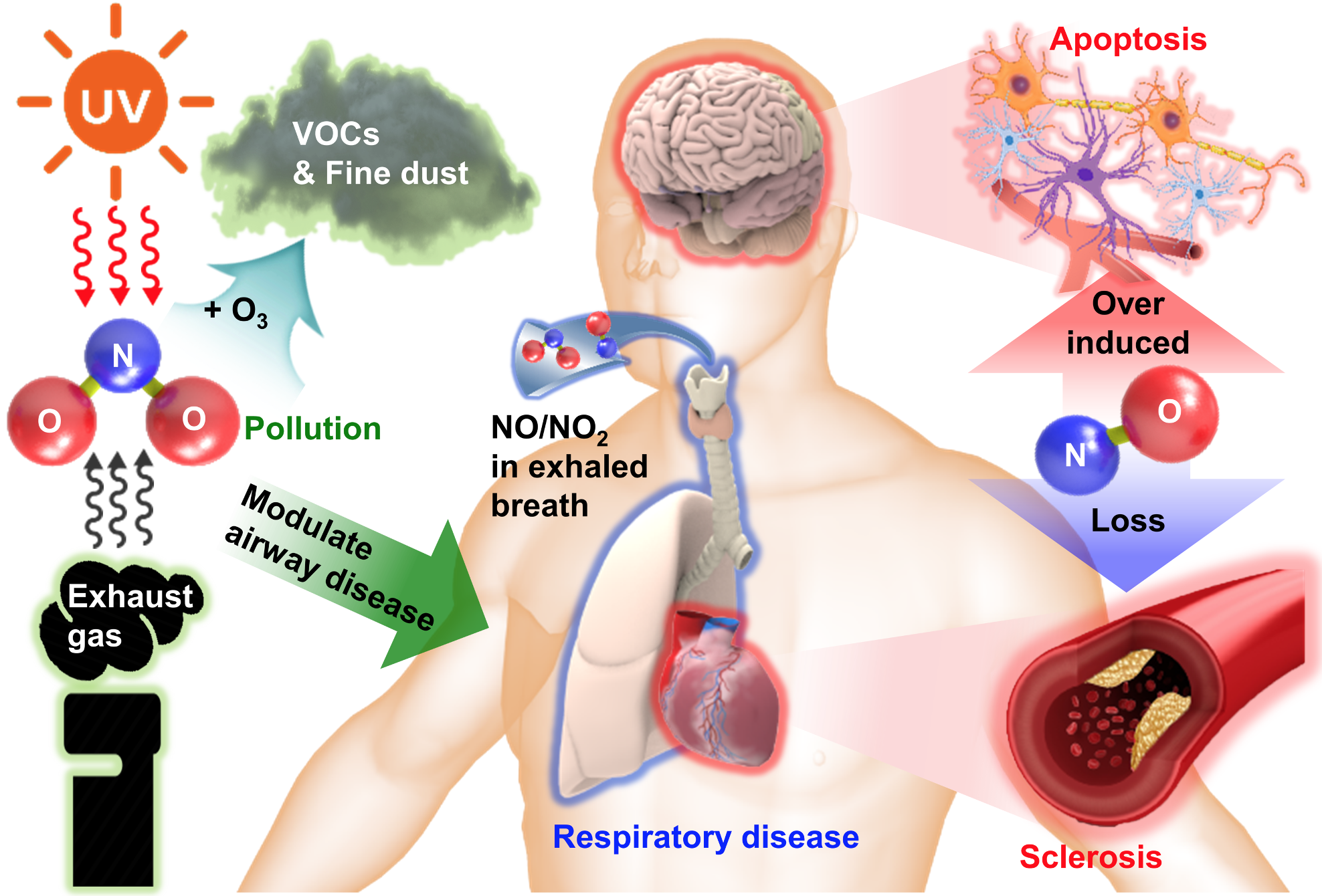 Implantable Biodegradeable Sensor