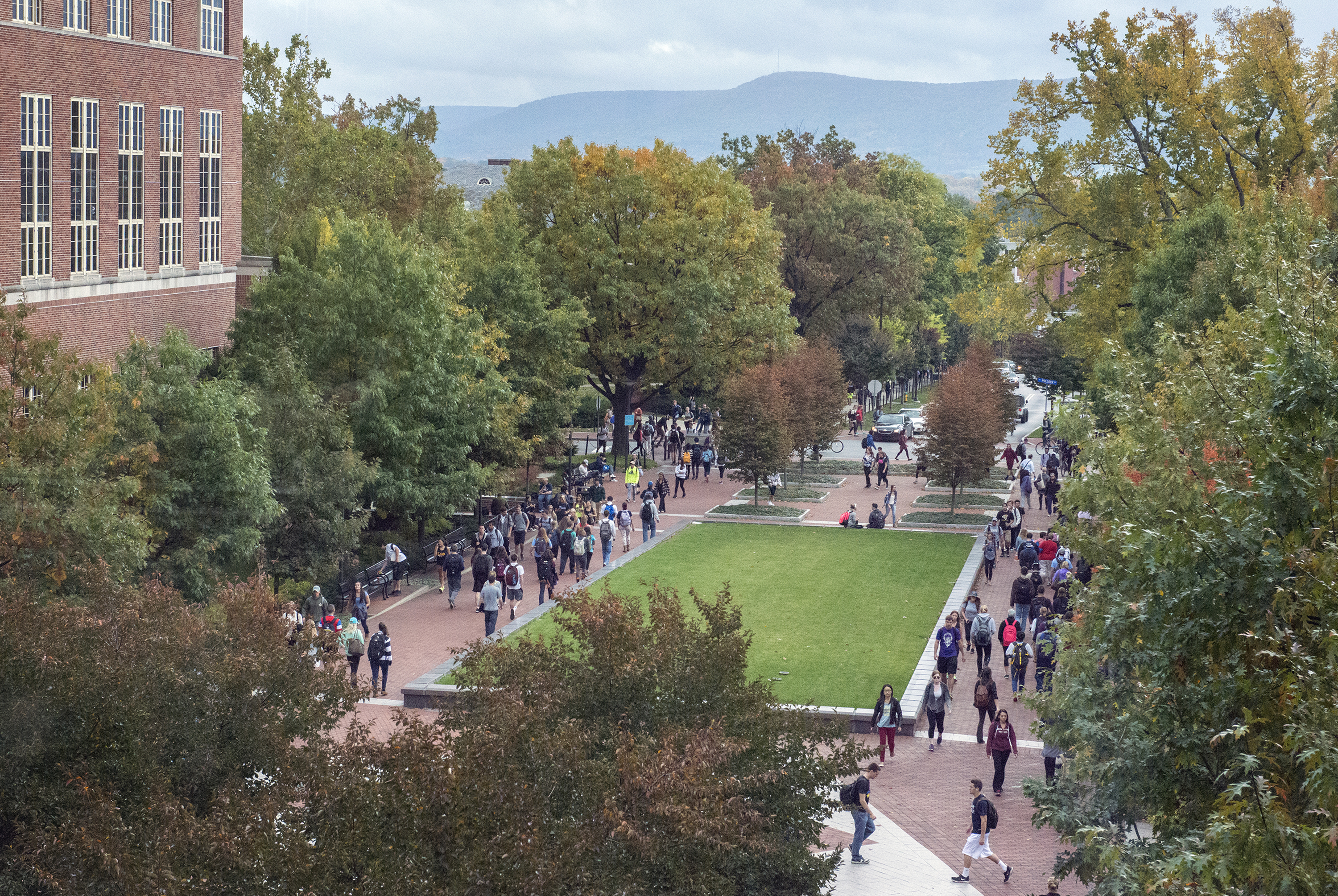 wide shot of campus