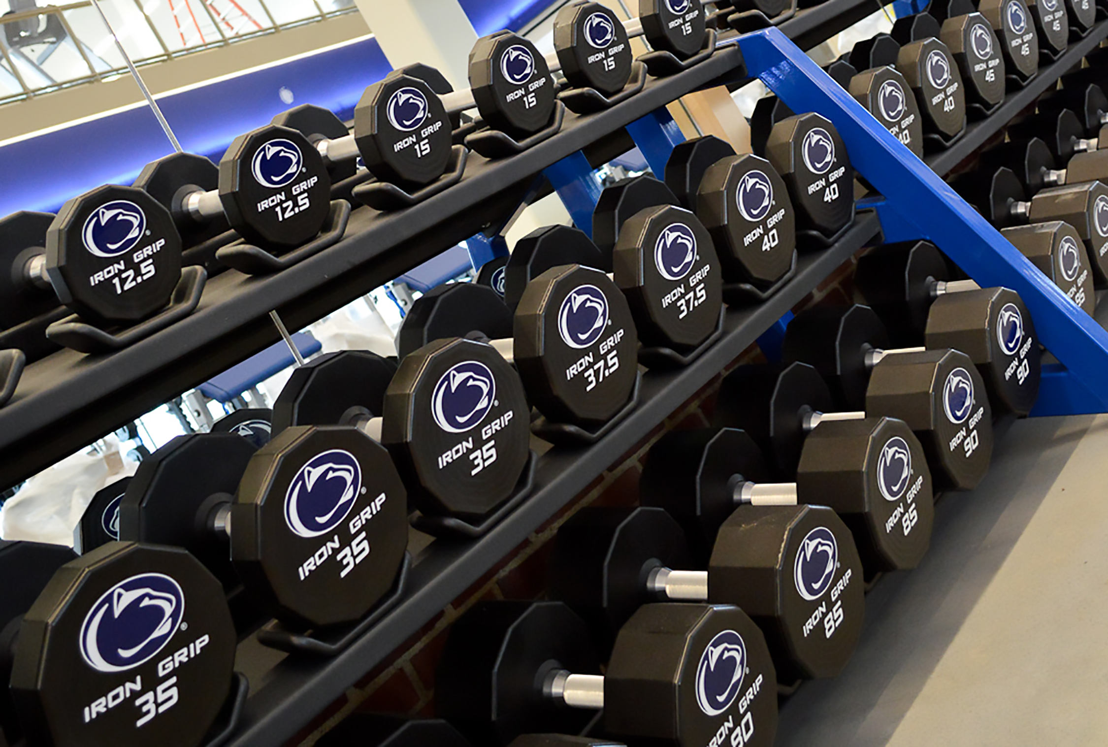 free weights in new IM building facility