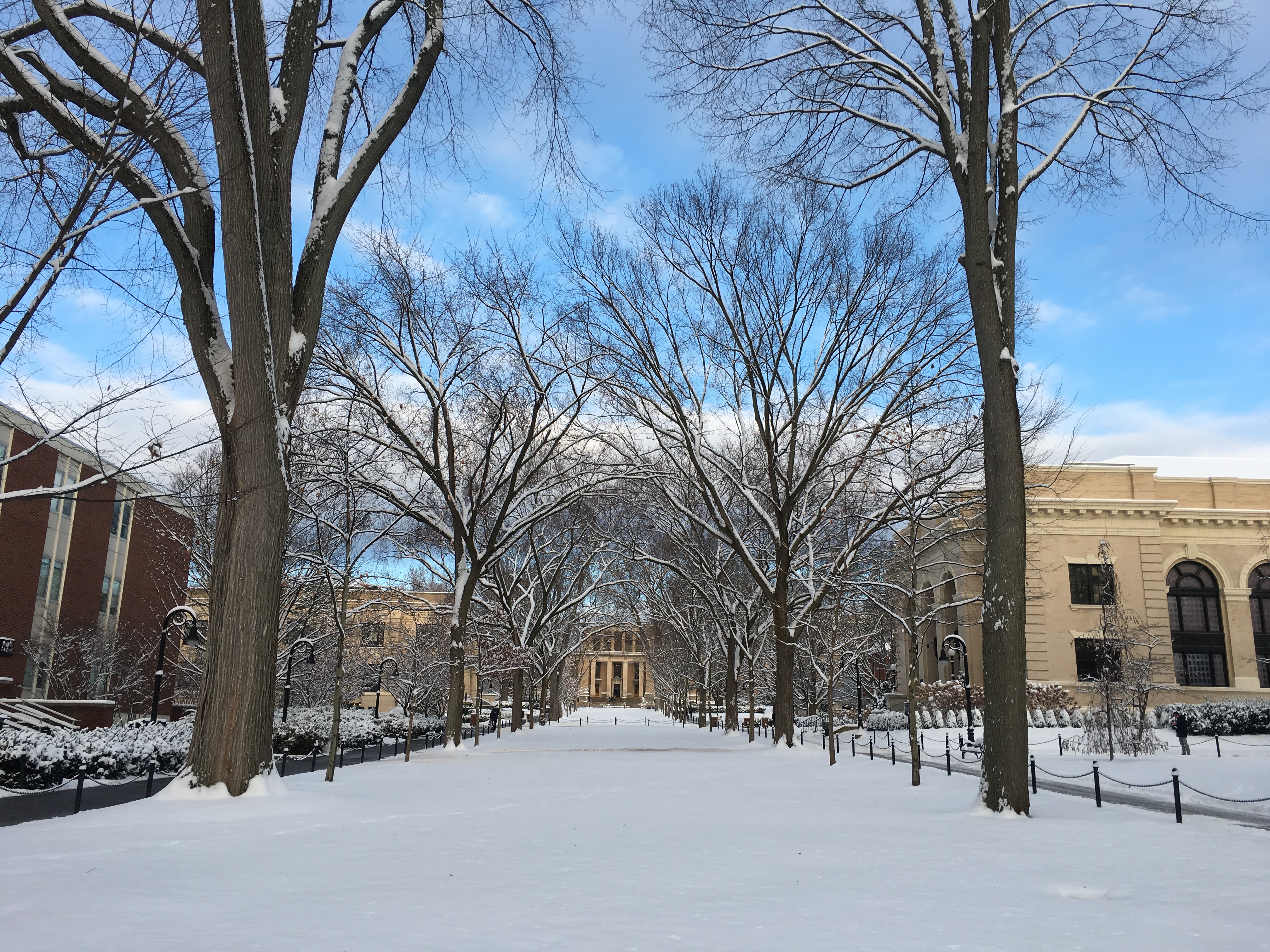 Snow covers Penn State mall