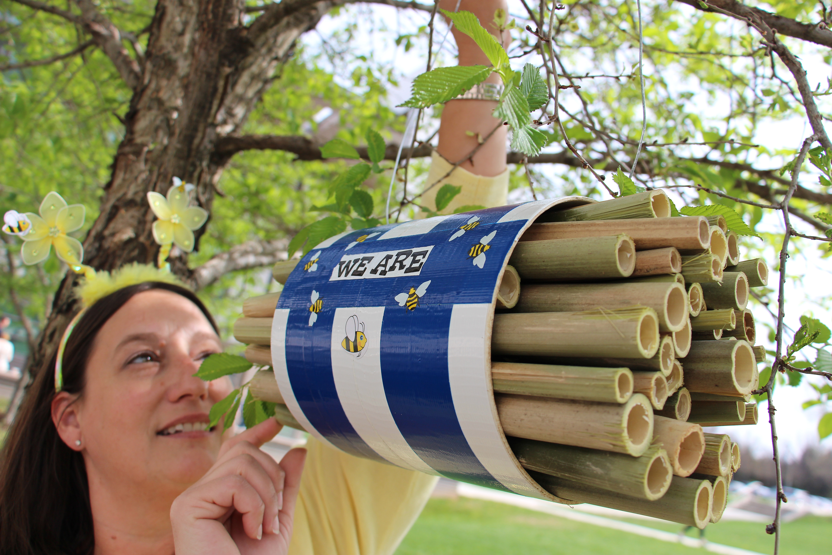 Ernesto setting up bee house