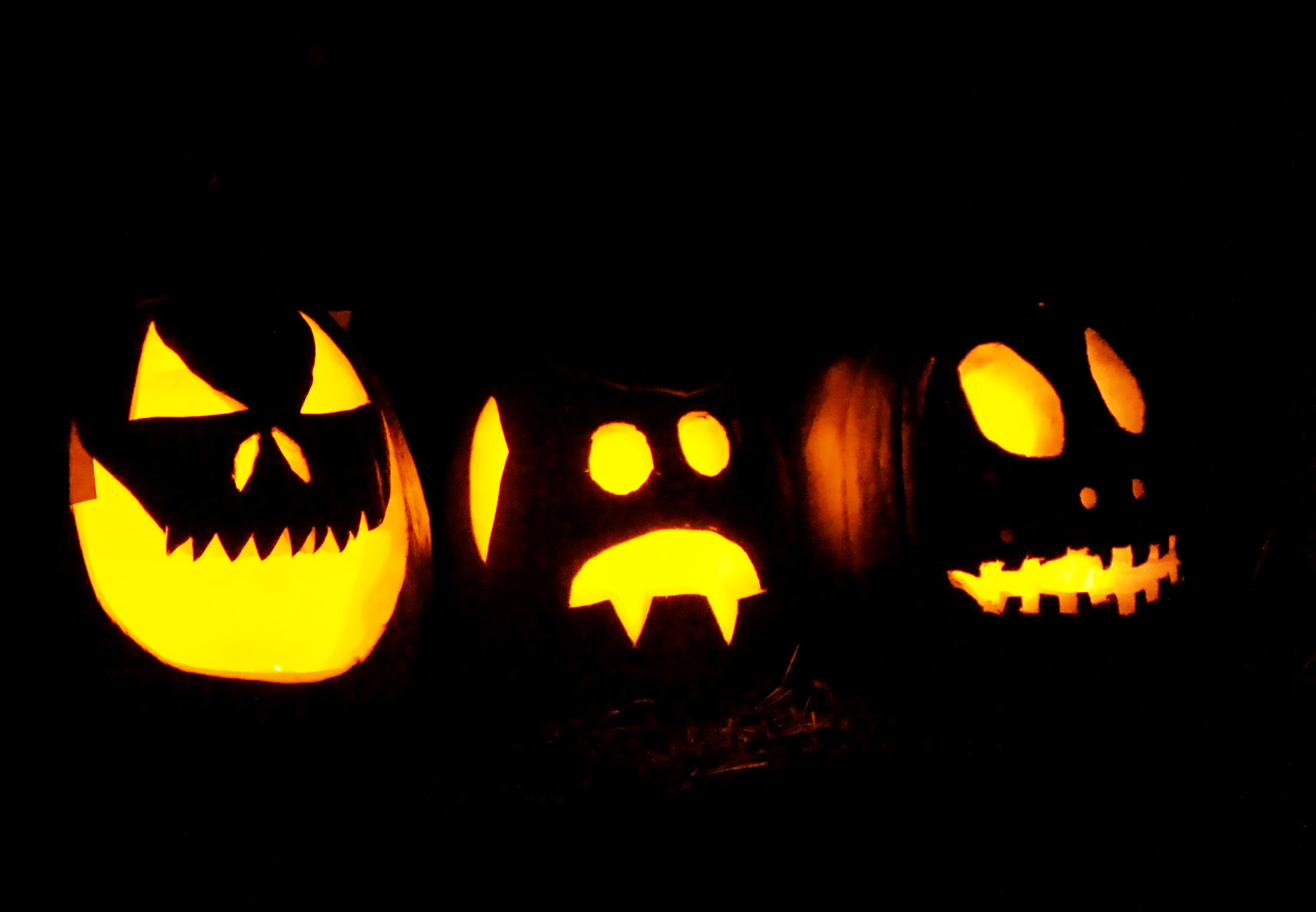 carved pumpkins