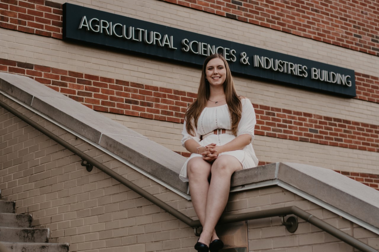 sitting on ASI building wall